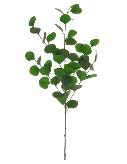 Silver Dollar Eucalyptus Spray (large)