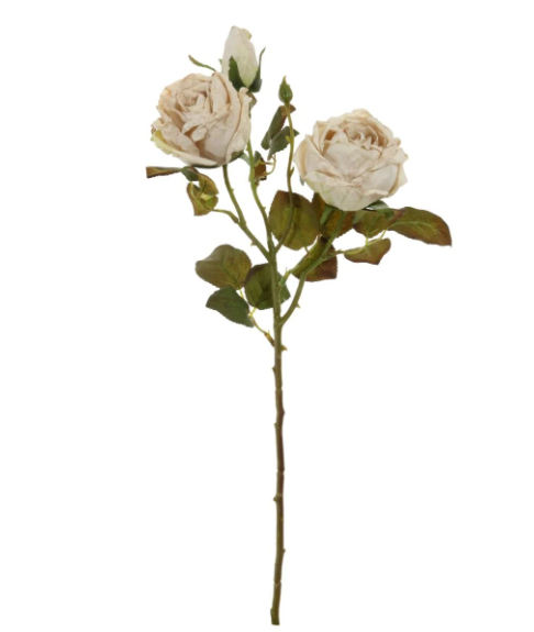 Oyster Rose Spray