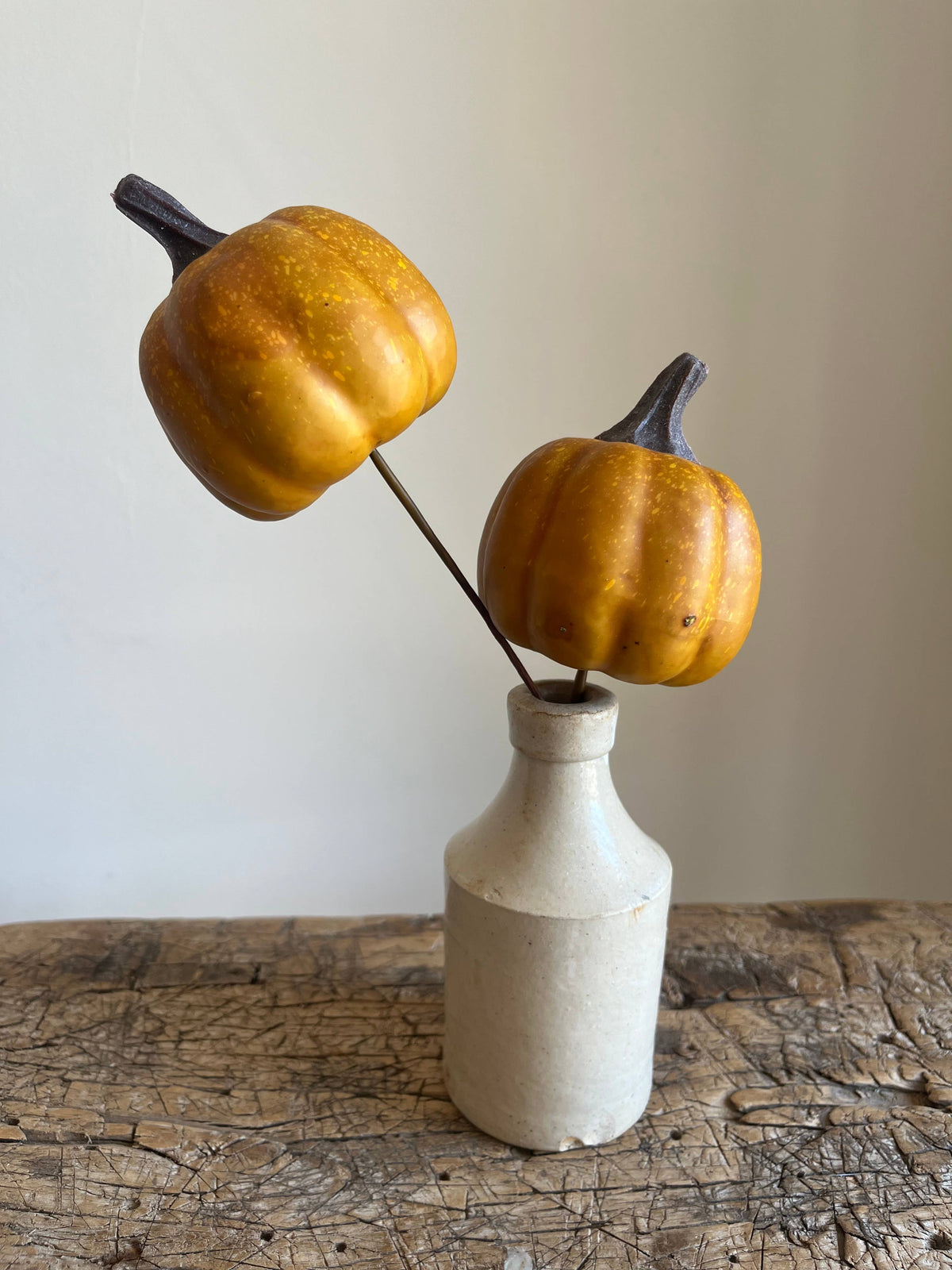 Pumpkin Pick Sunrise Orange - Pack of 6