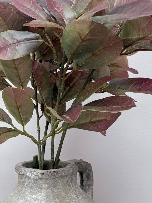 Rich Two Tone Laurel Stem