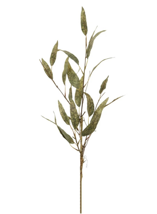 Slim Leaf Branch
