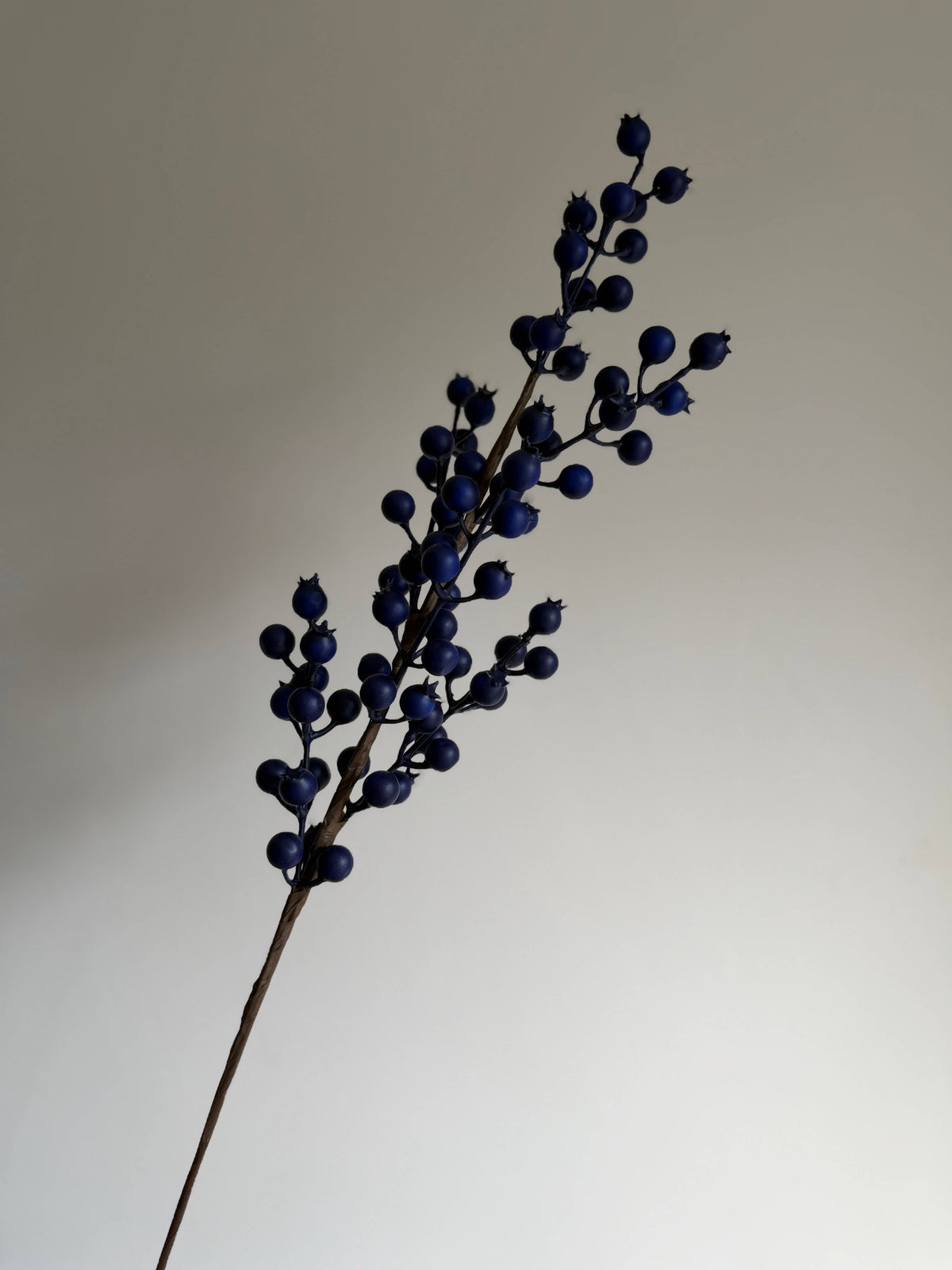 Blue Berry Stem