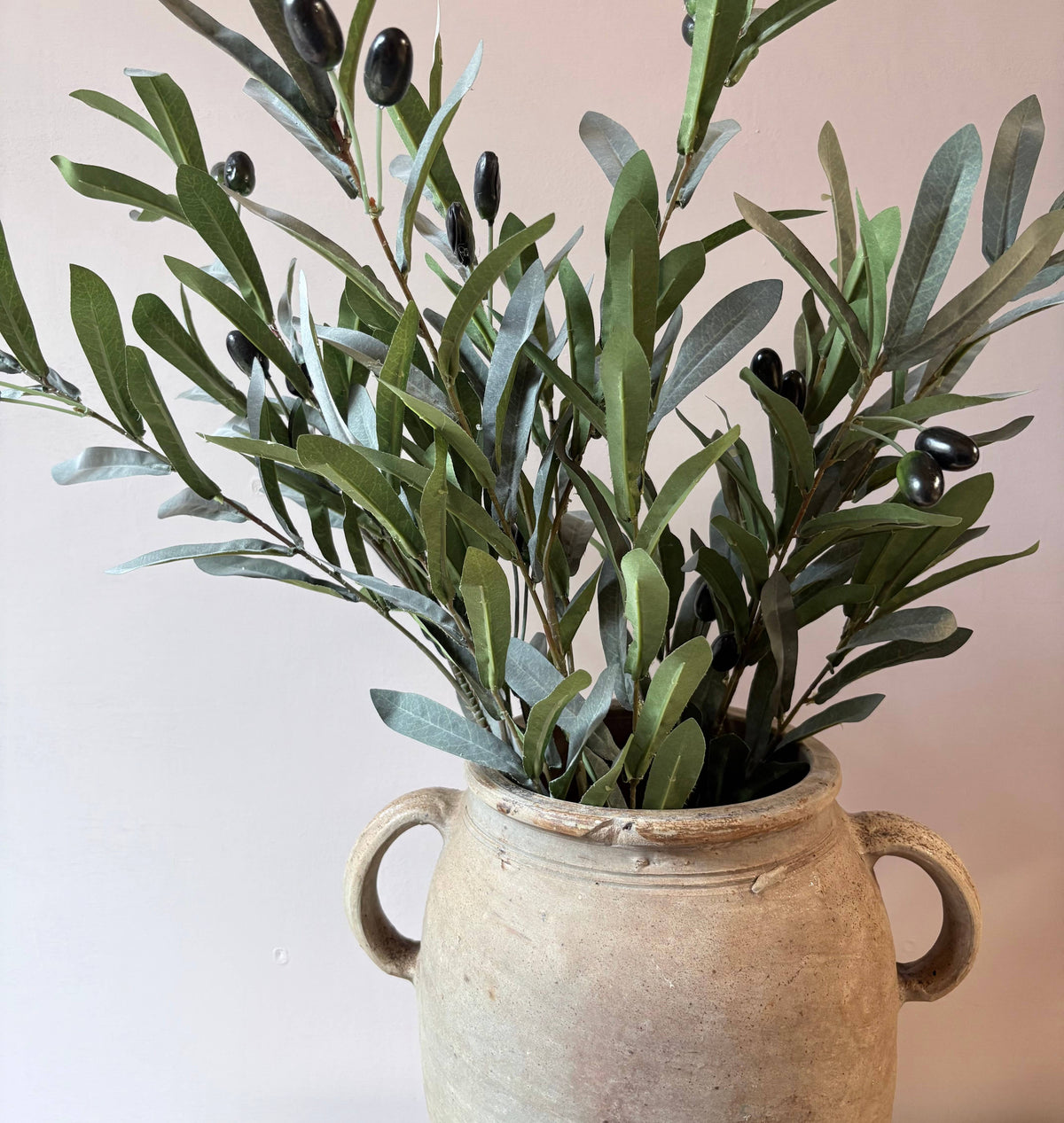 Olive Stem