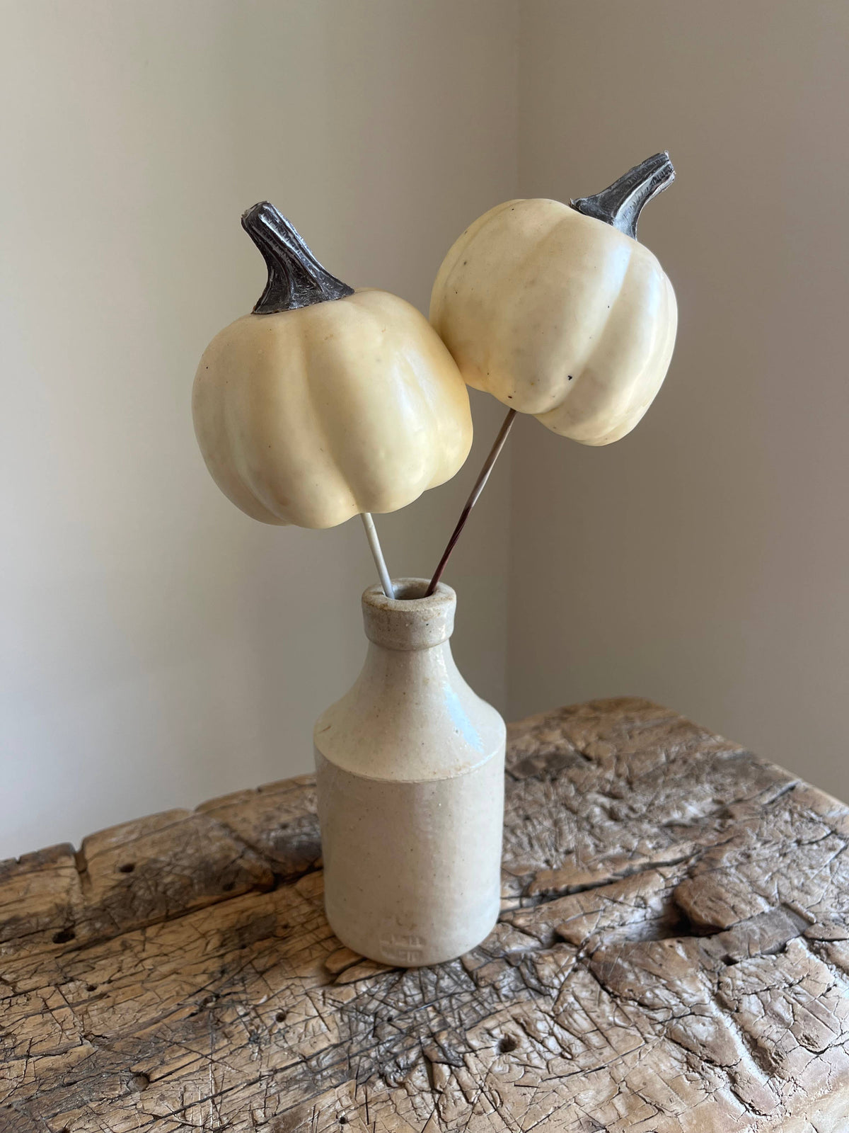 Pumpkin Pick Ivory - Pack of 6