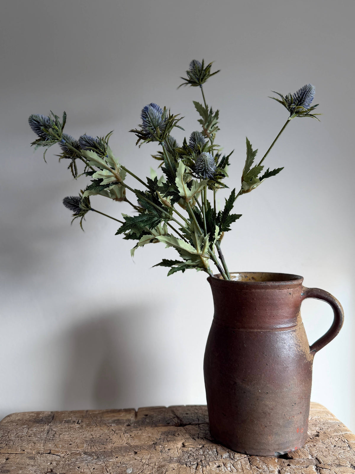 Blue Thistle