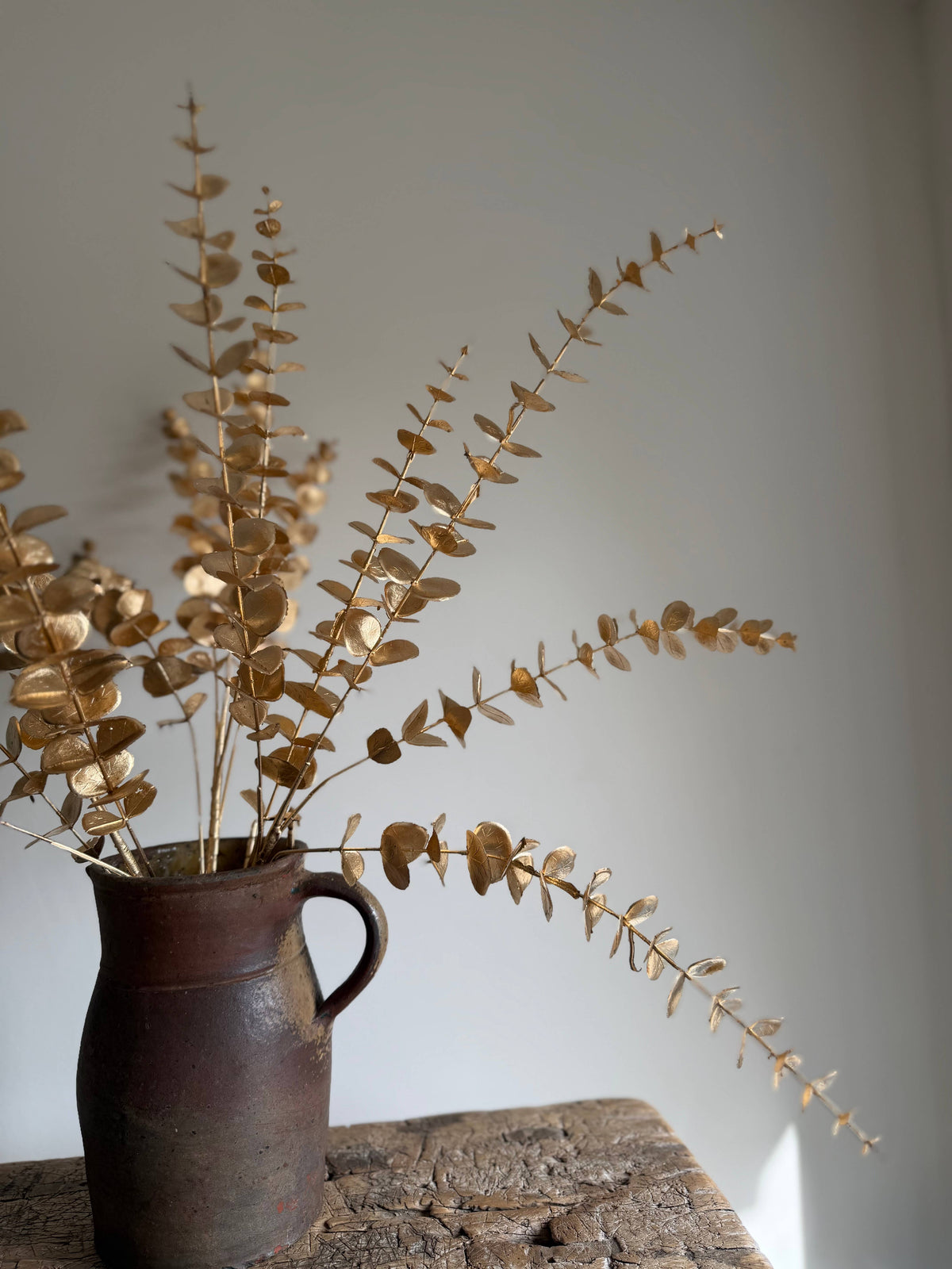 Gold Eucalyptus
