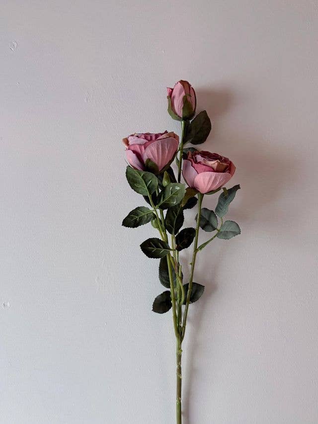 Mauve Spray Rose Stem