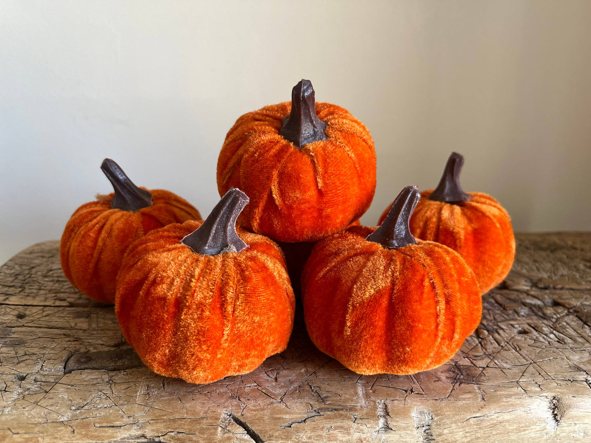 Small Velvet Pumpkin Burnt Orange - Bag of 6