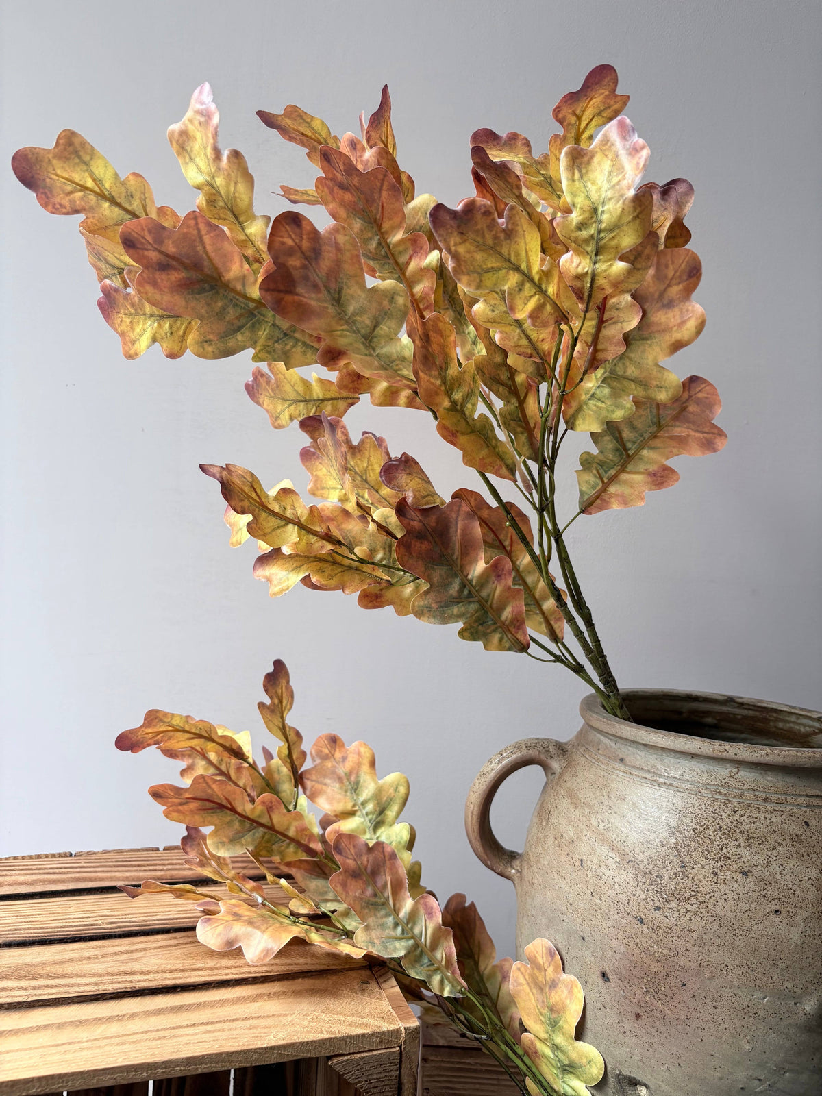 Autumn Oak Leaf Stem