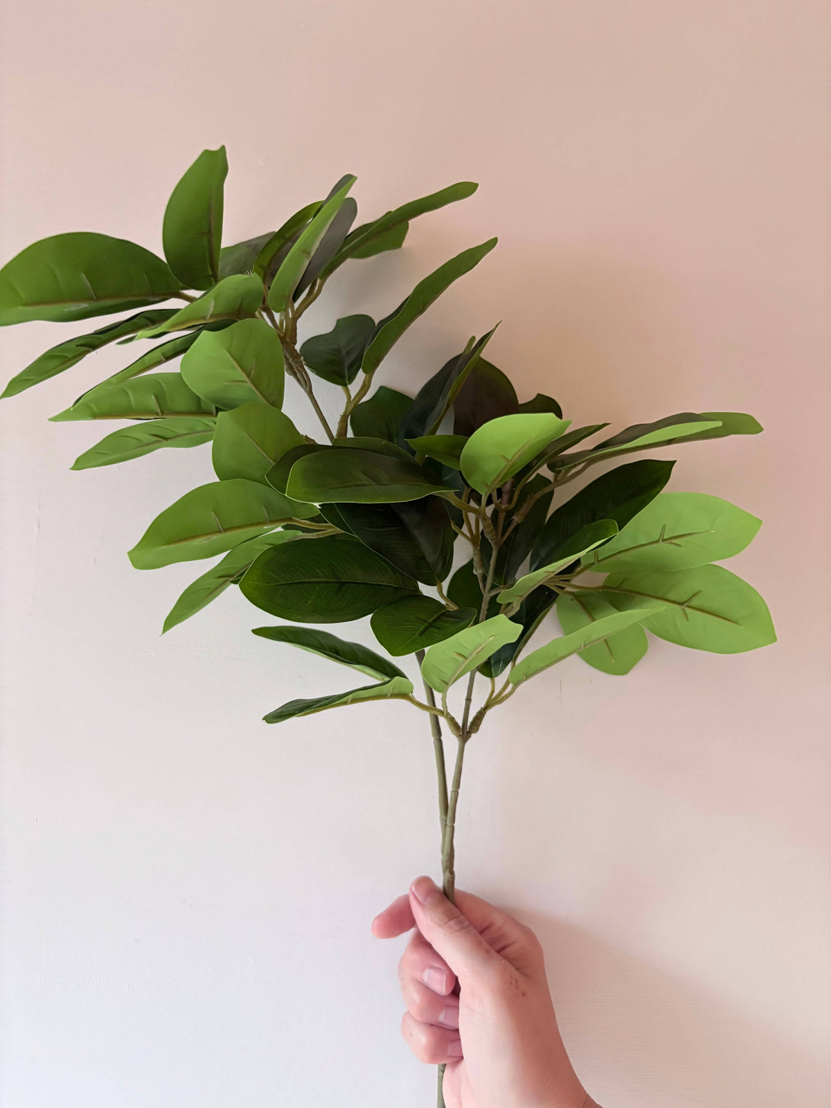 Laurel Stem - Green