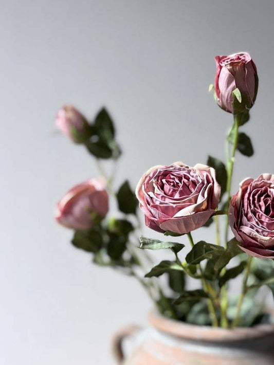 Mauve Spray Rose Stem