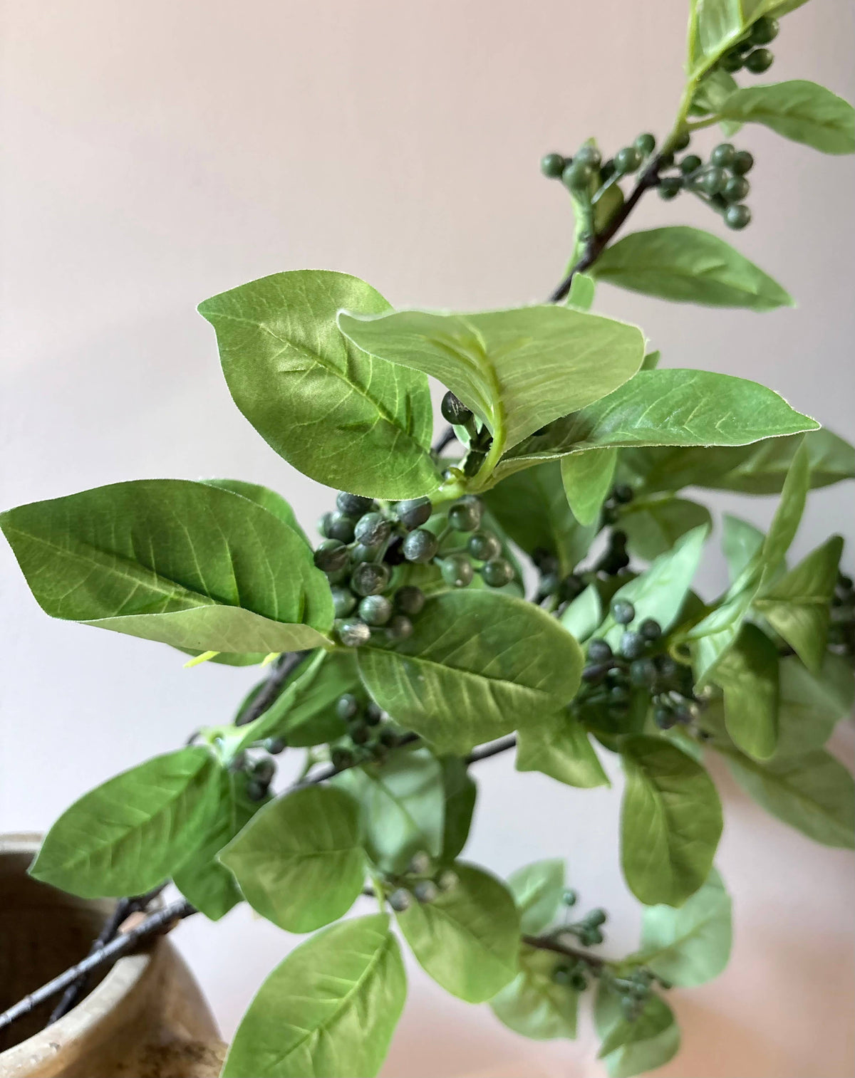 Clarissa Berry Stem - Blue/Green