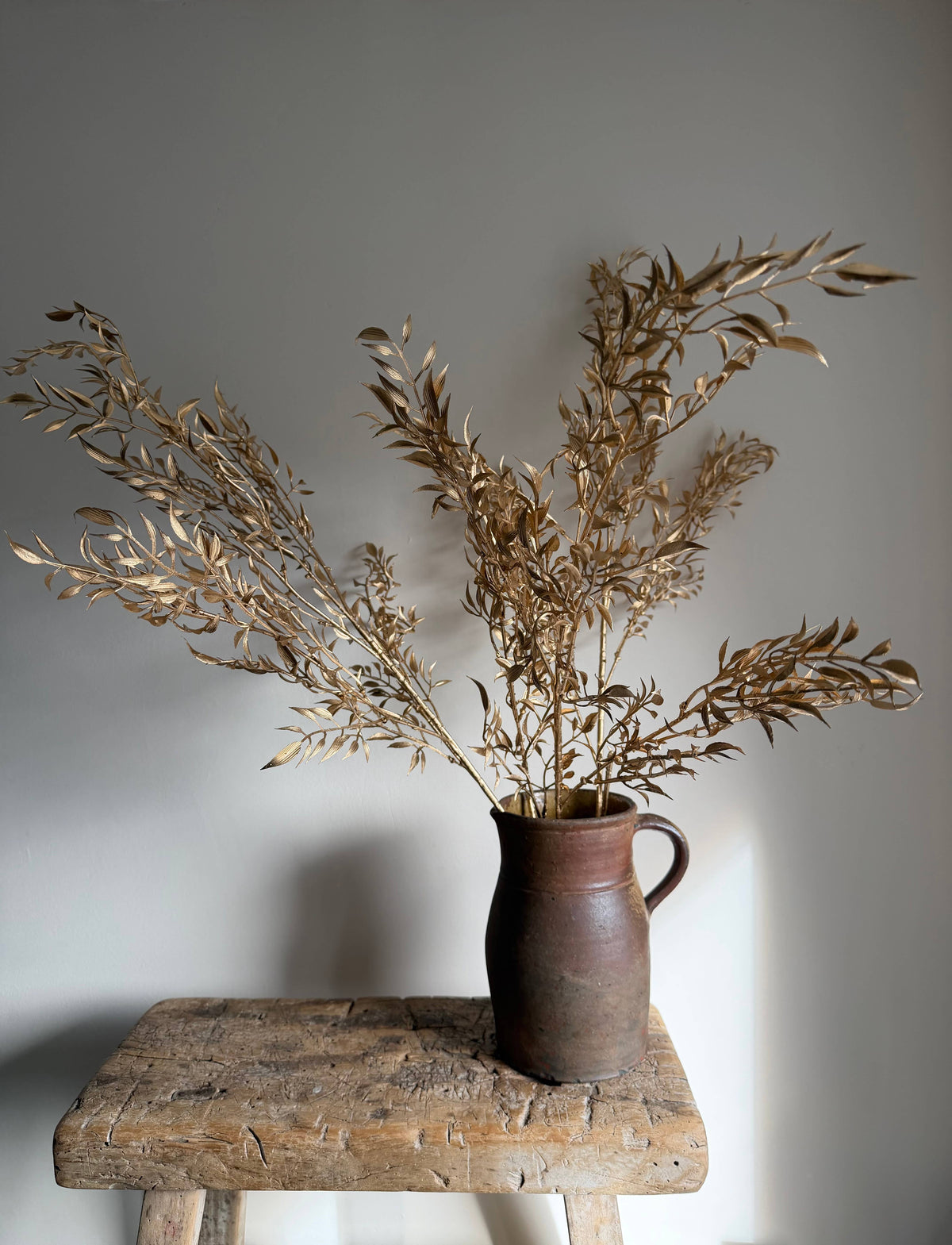 Gold Soft Leaf Ruscus