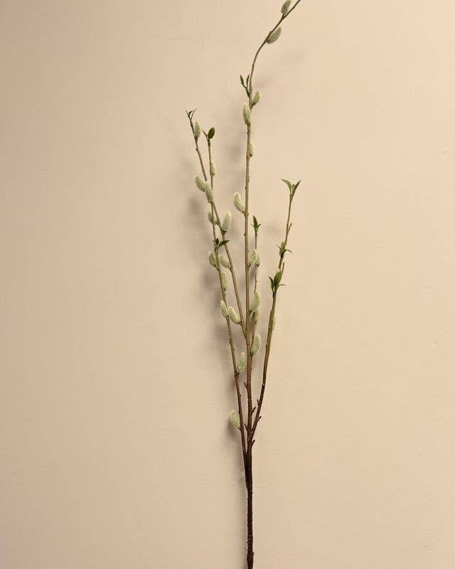 Deluxe Pussy Willow