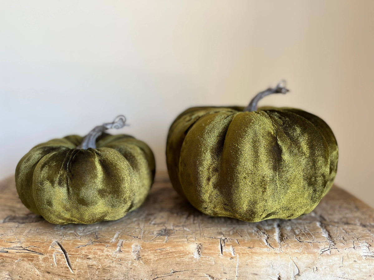 Medium Velvet Pumpkin Moss Green