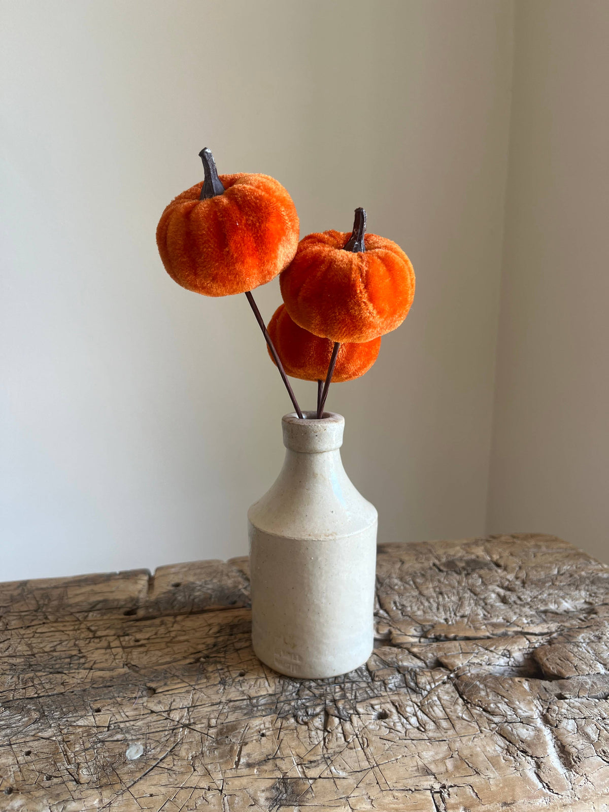 Velvet Pumpkin Pick Burnt Orange Pack of 6