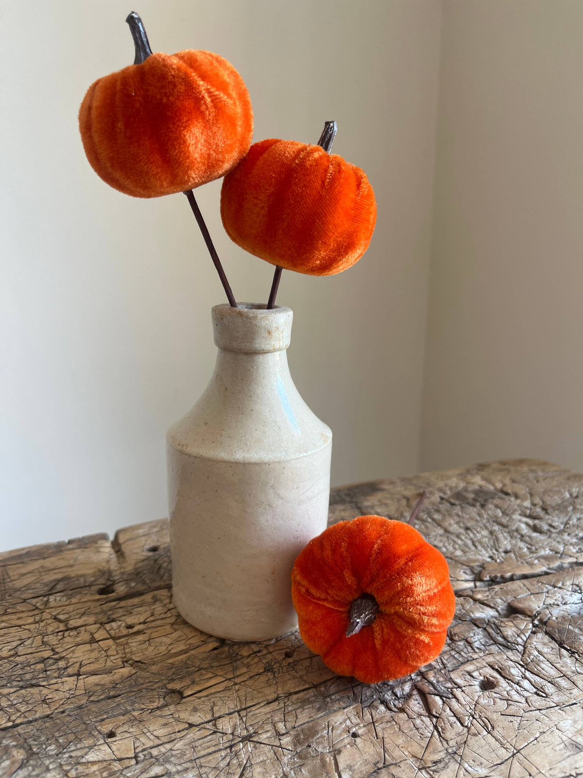 Velvet Pumpkin Pick Burnt Orange Pack of 6