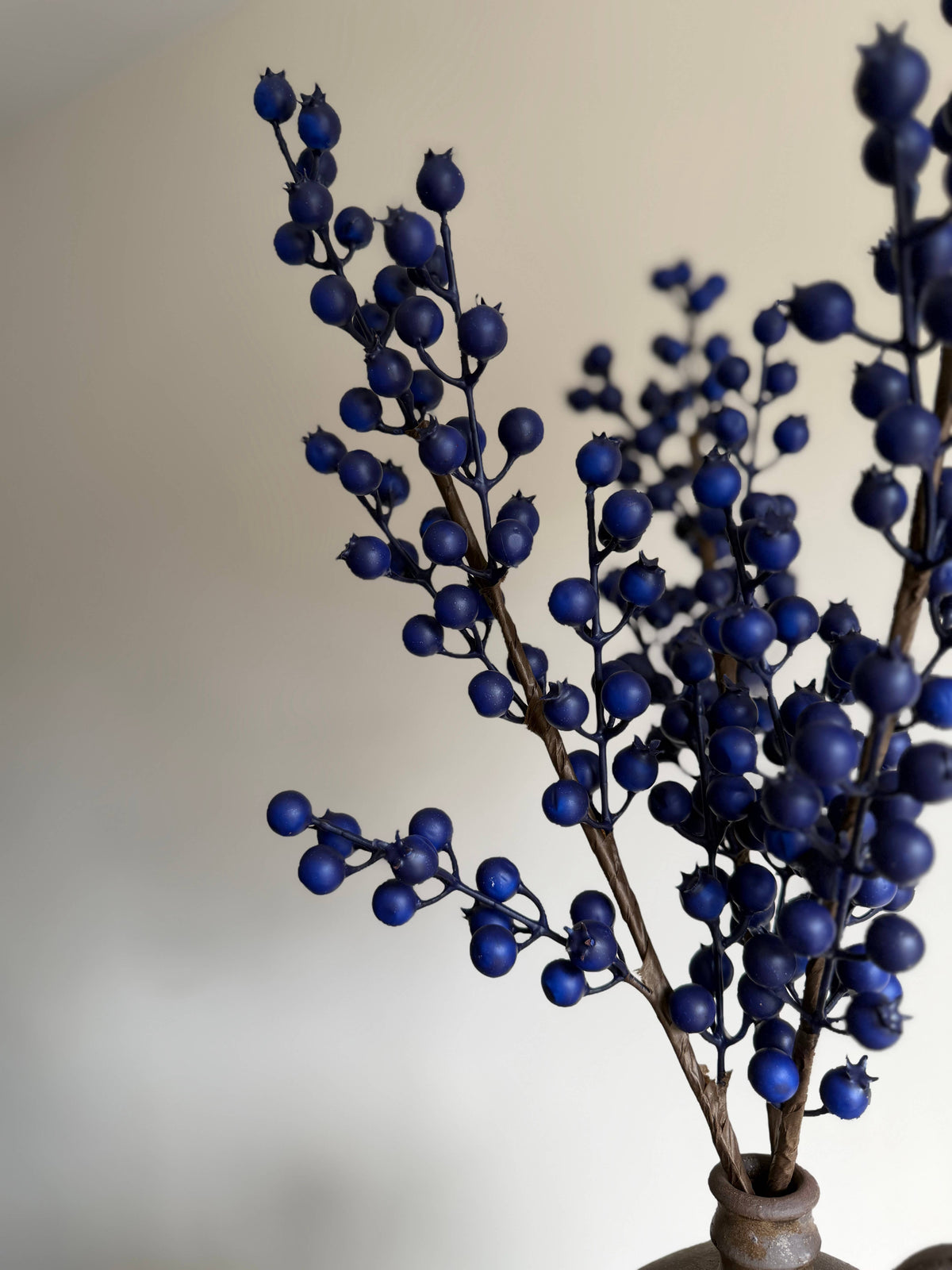 Blue Berry Stem