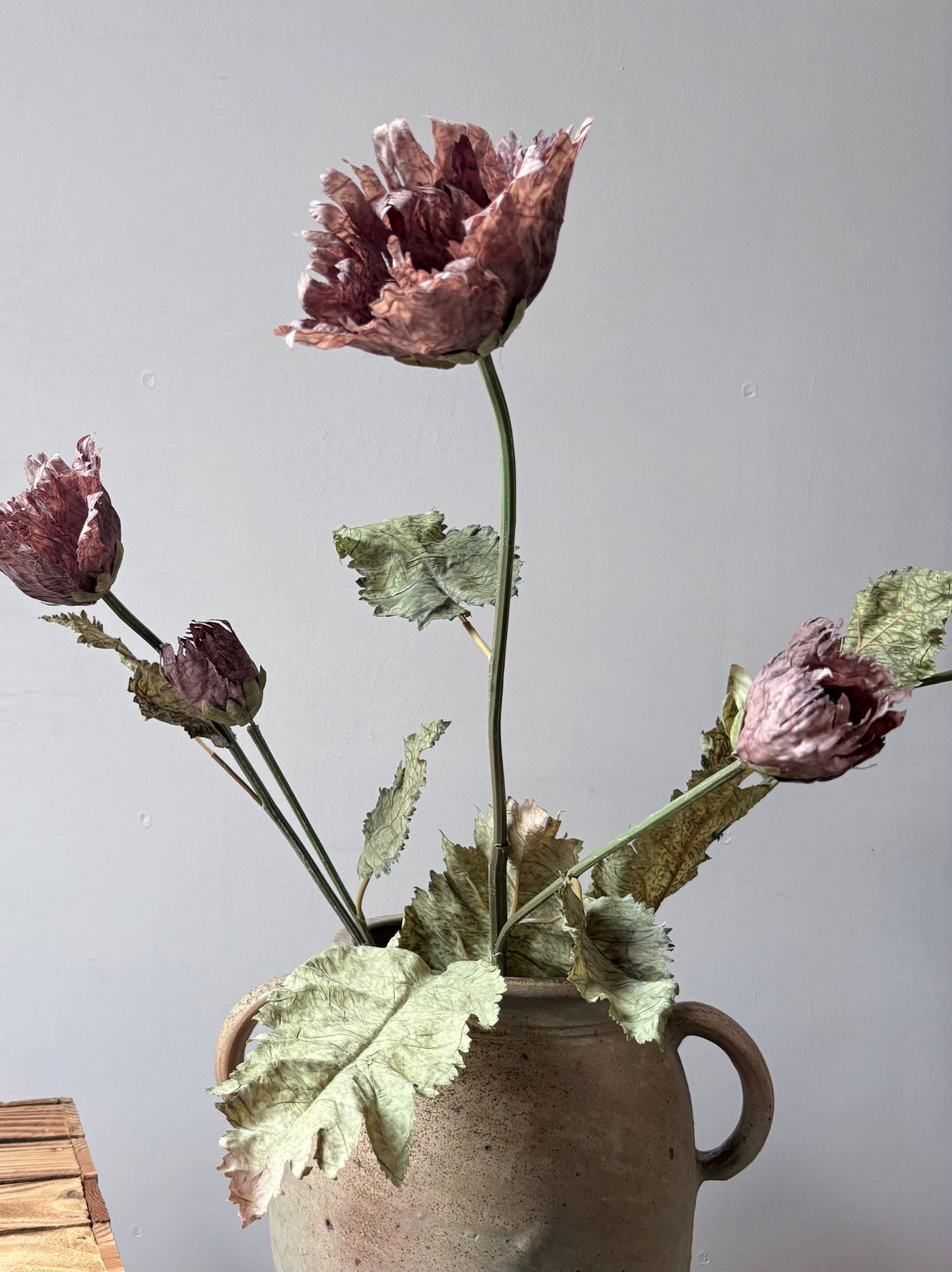 Vintage Poppy - Mocha Fudge