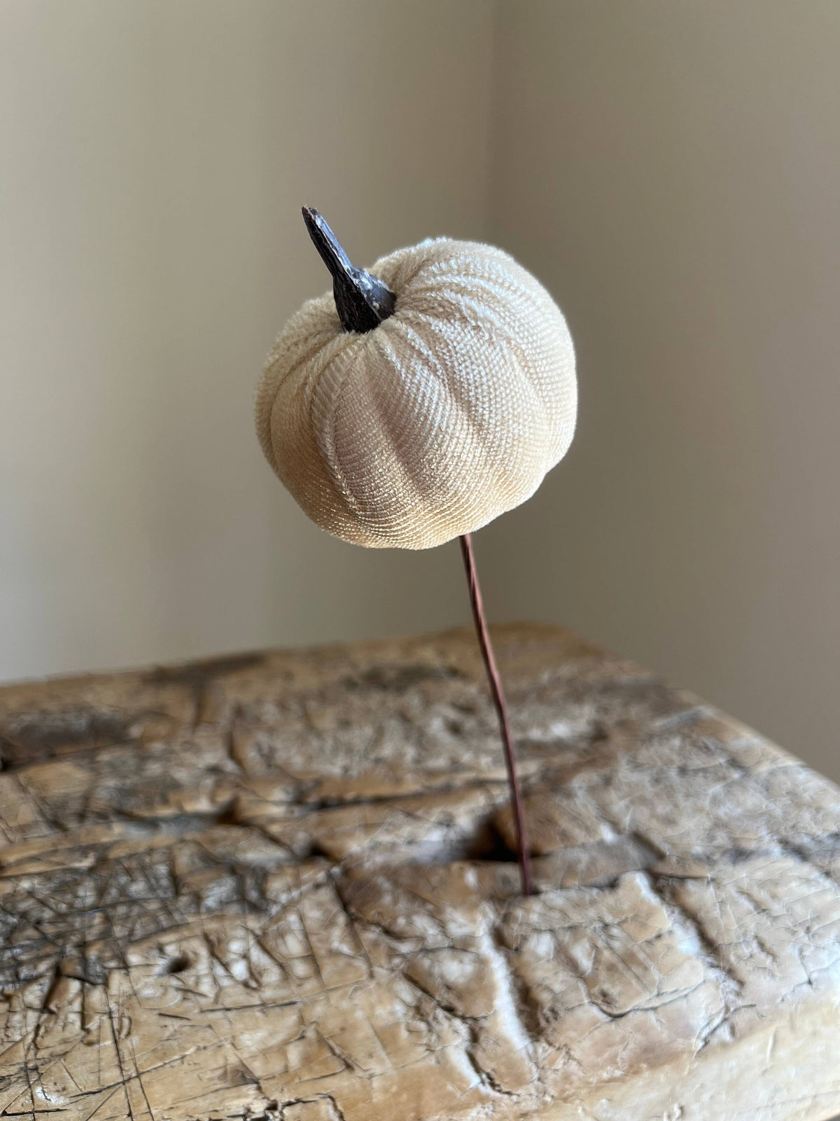 Velvet Pumpkin Pick Ivory Pack of 6