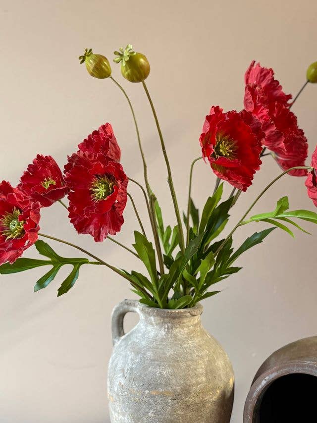 Cottage Garden Poppy - Red