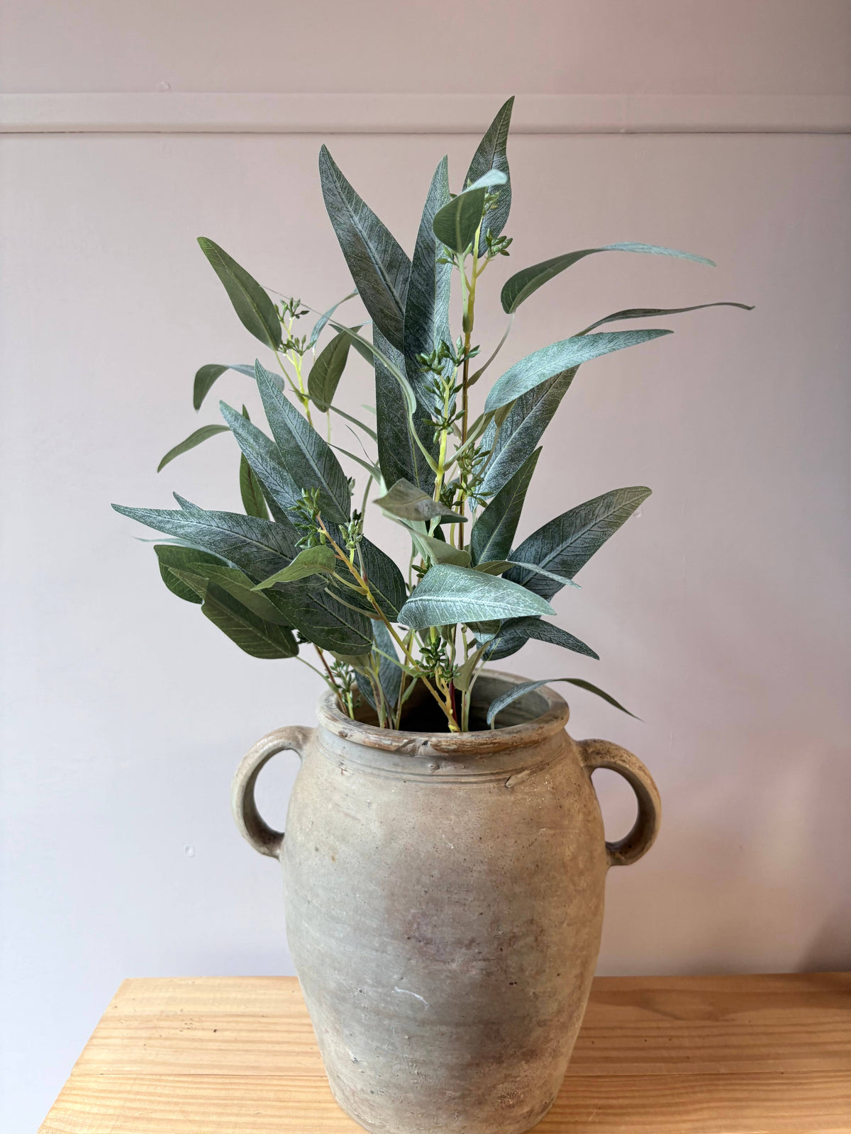 Eucalyptus Nicholii Spray - Green