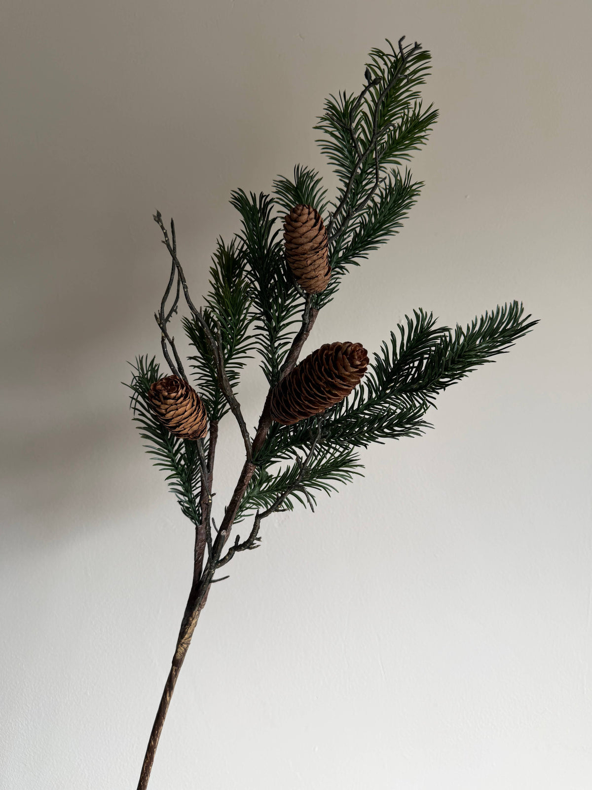 Spruce Branch Spray