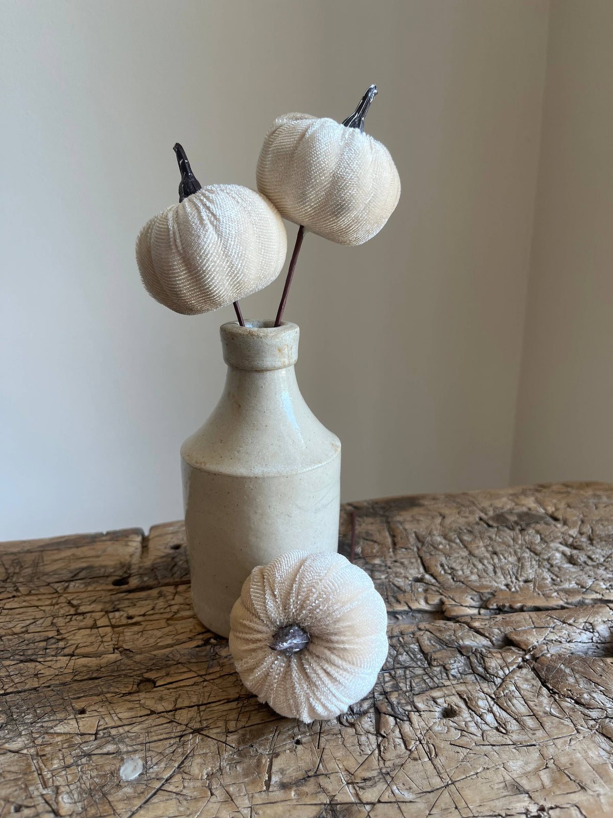 Velvet Pumpkin Pick Ivory Pack of 6