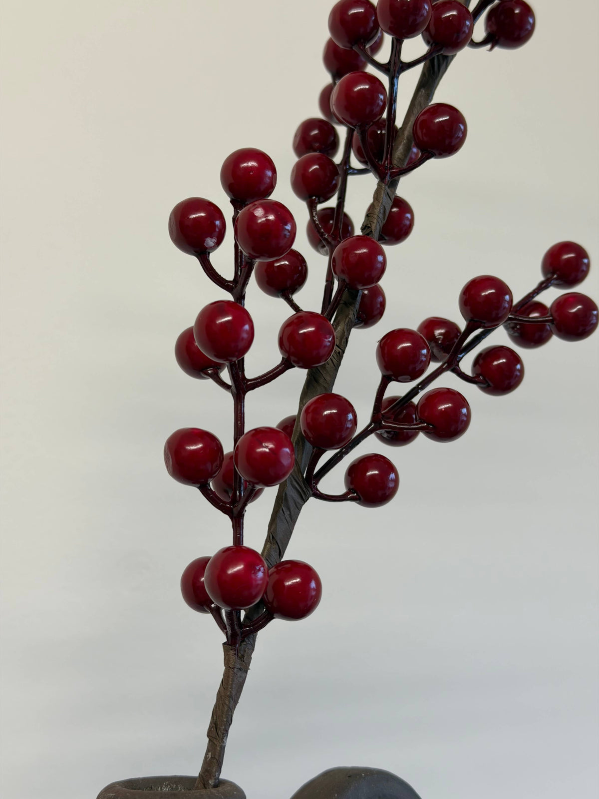 Deep Red Berry Stem