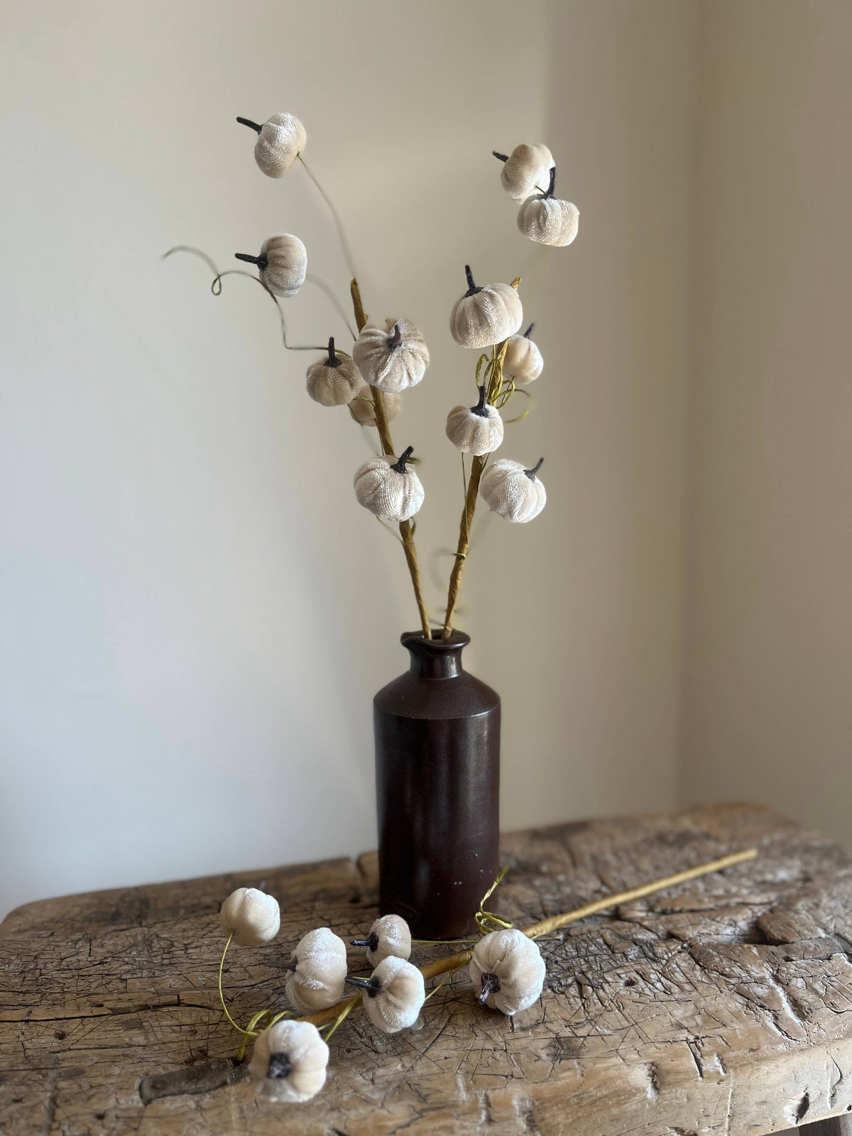 Velvet Pumpkin Spray Ivory Pack of 6