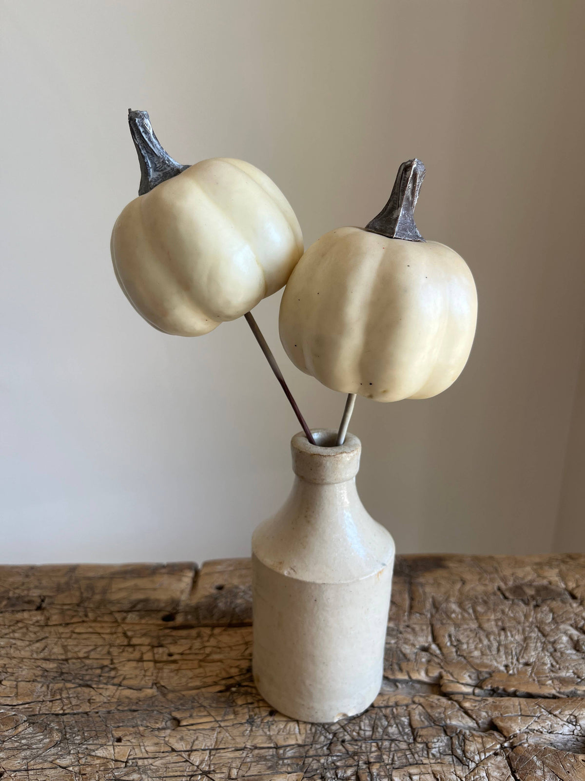Pumpkin Pick Ivory - Pack of 6