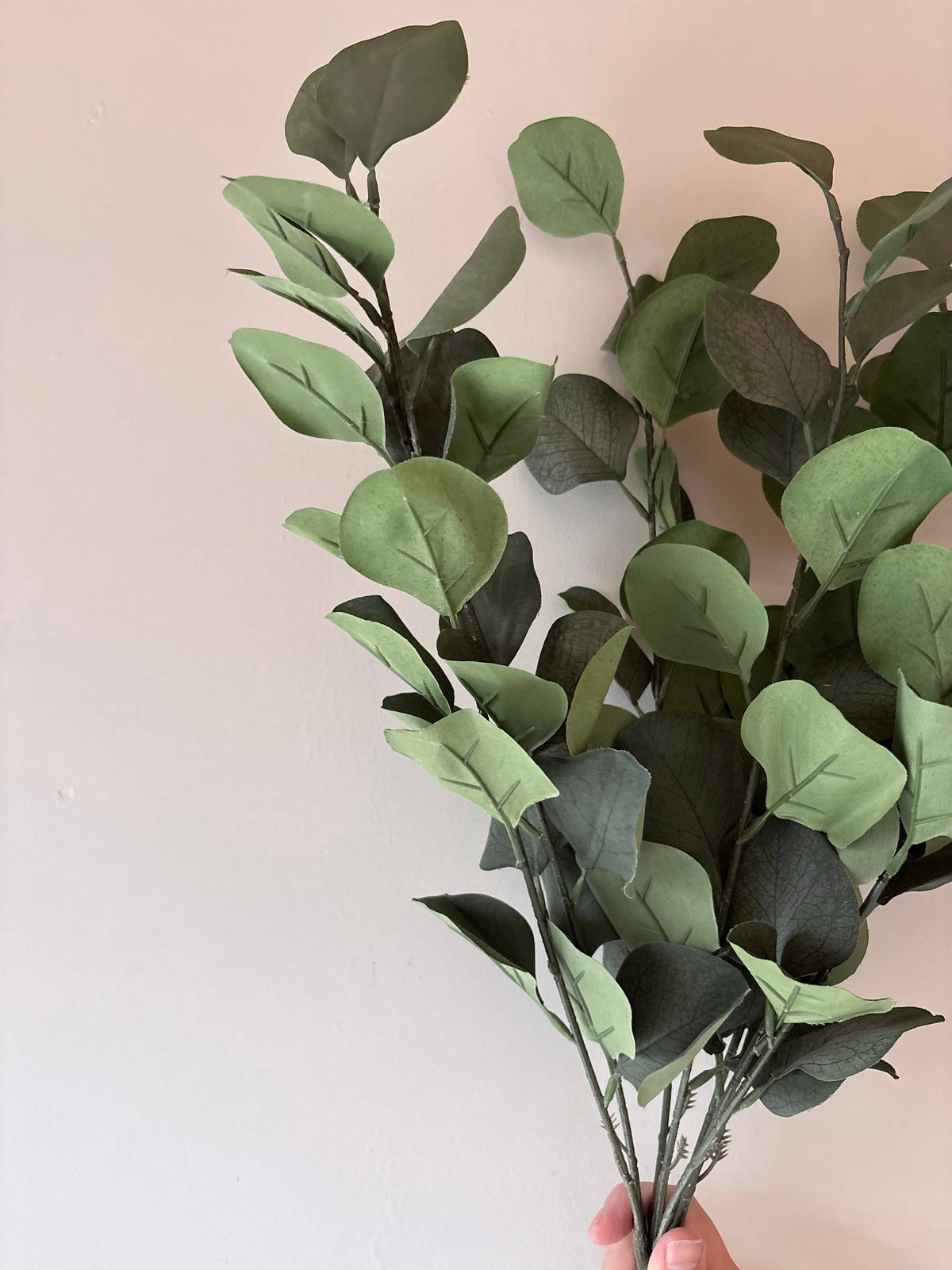 Eucalptus Bunch - Green