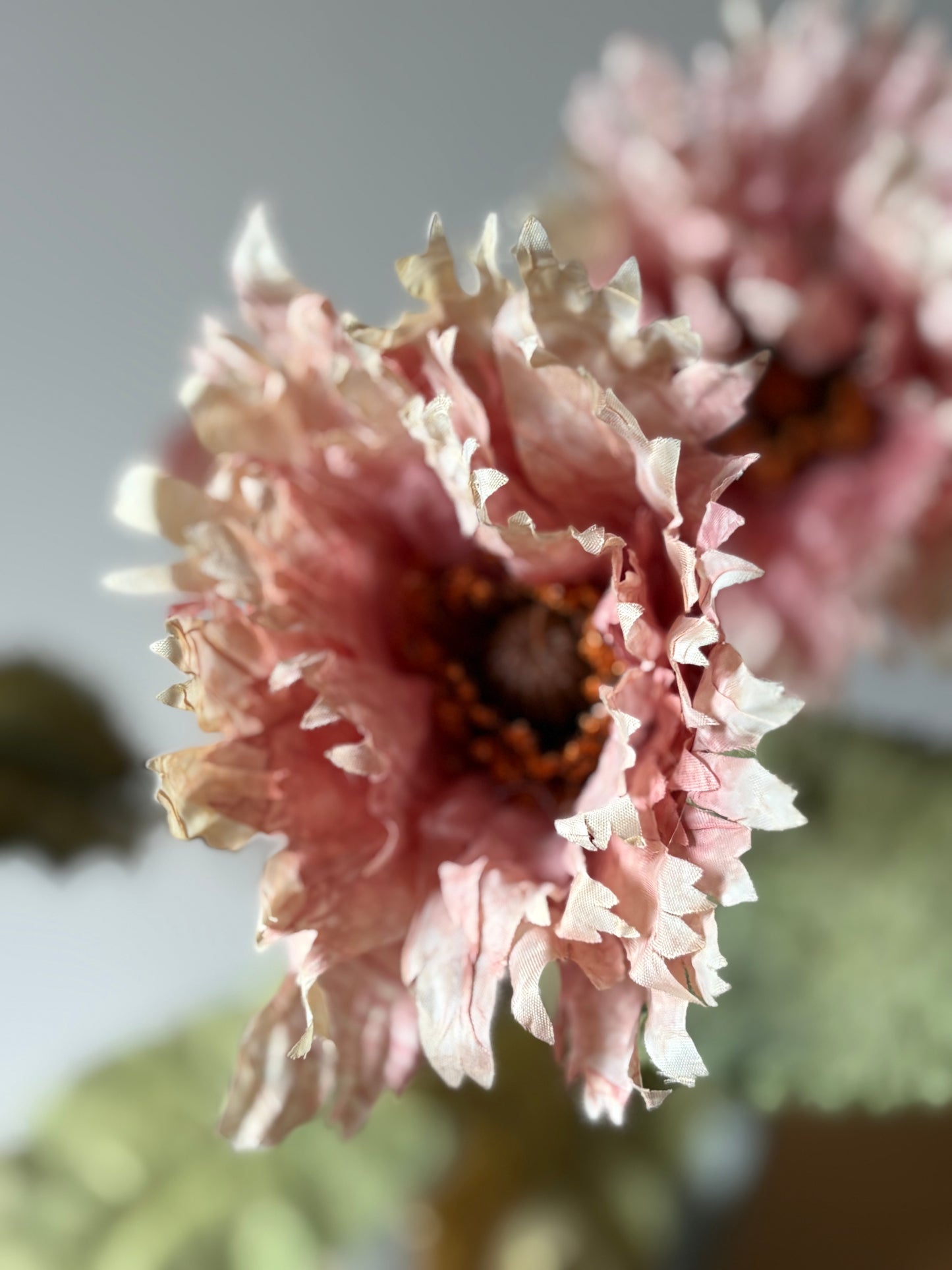 Vintage Poppy in Dusky Pink