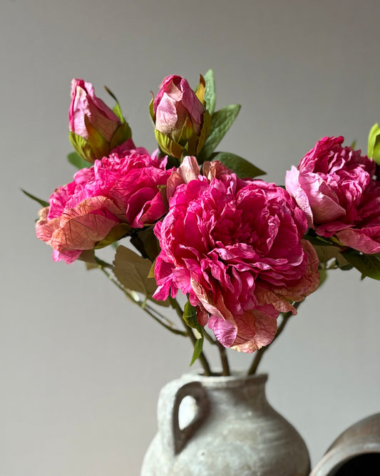 Full Bloom Peony - Cerise Pink