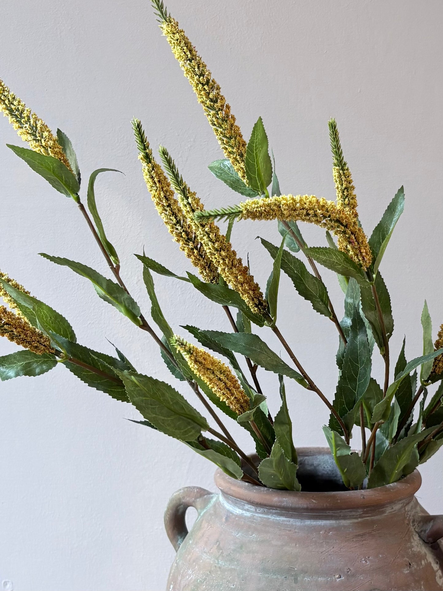 Veronica Stem- Yellow