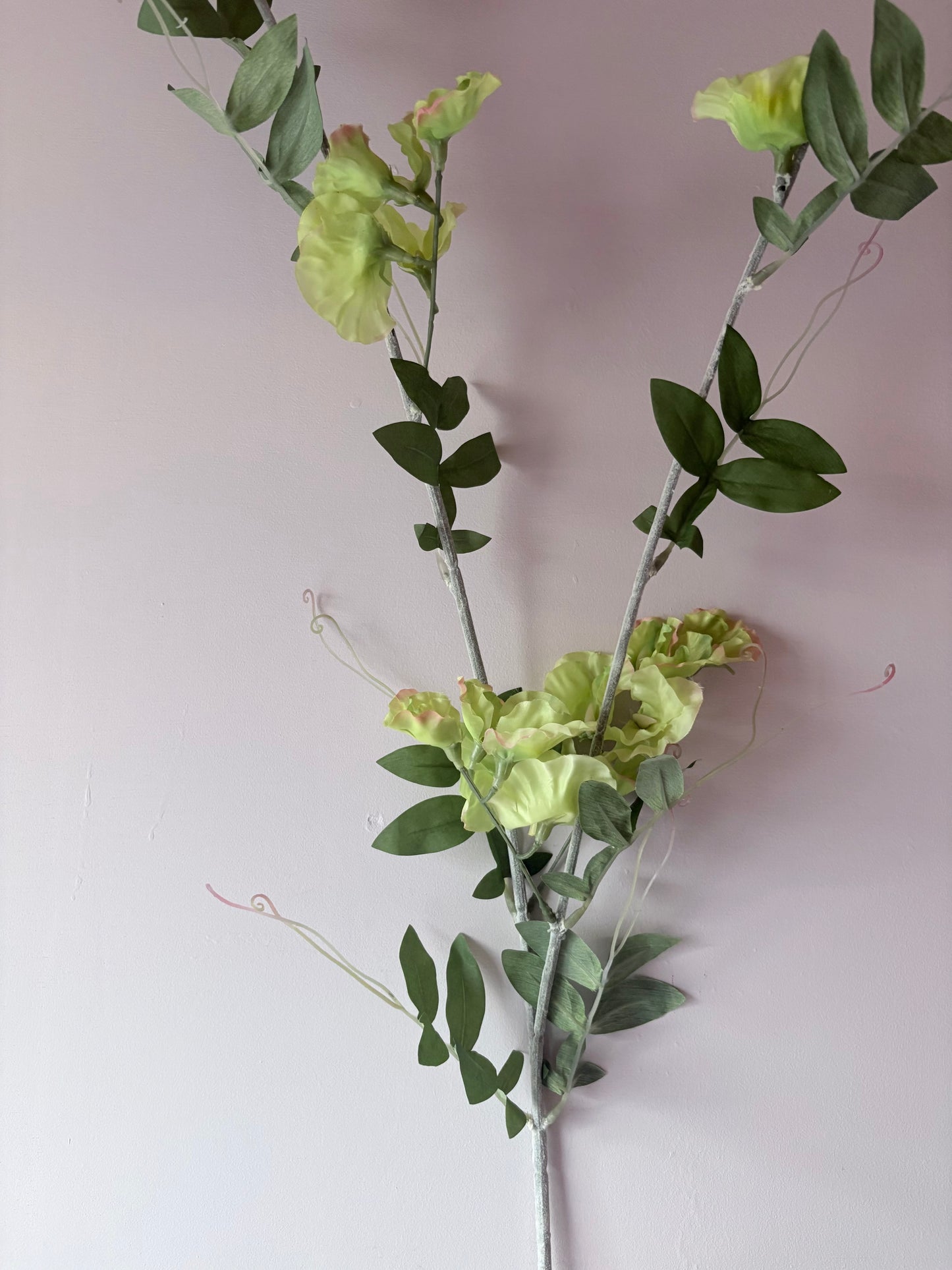 Wild Sweet Pea - Soft Lime