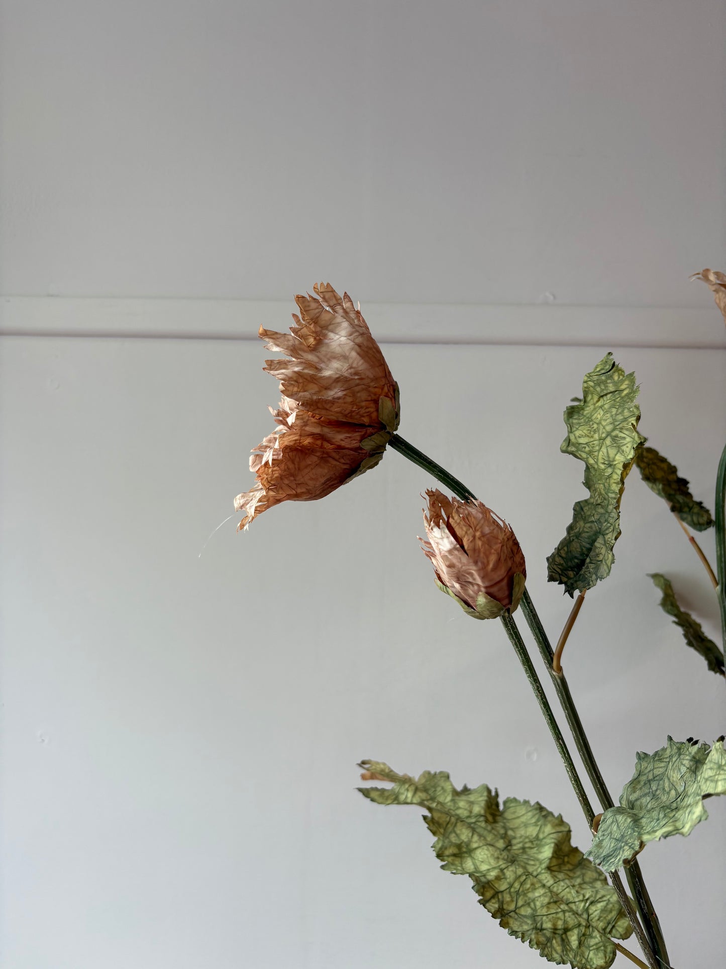 Vintage Poppy in Latte