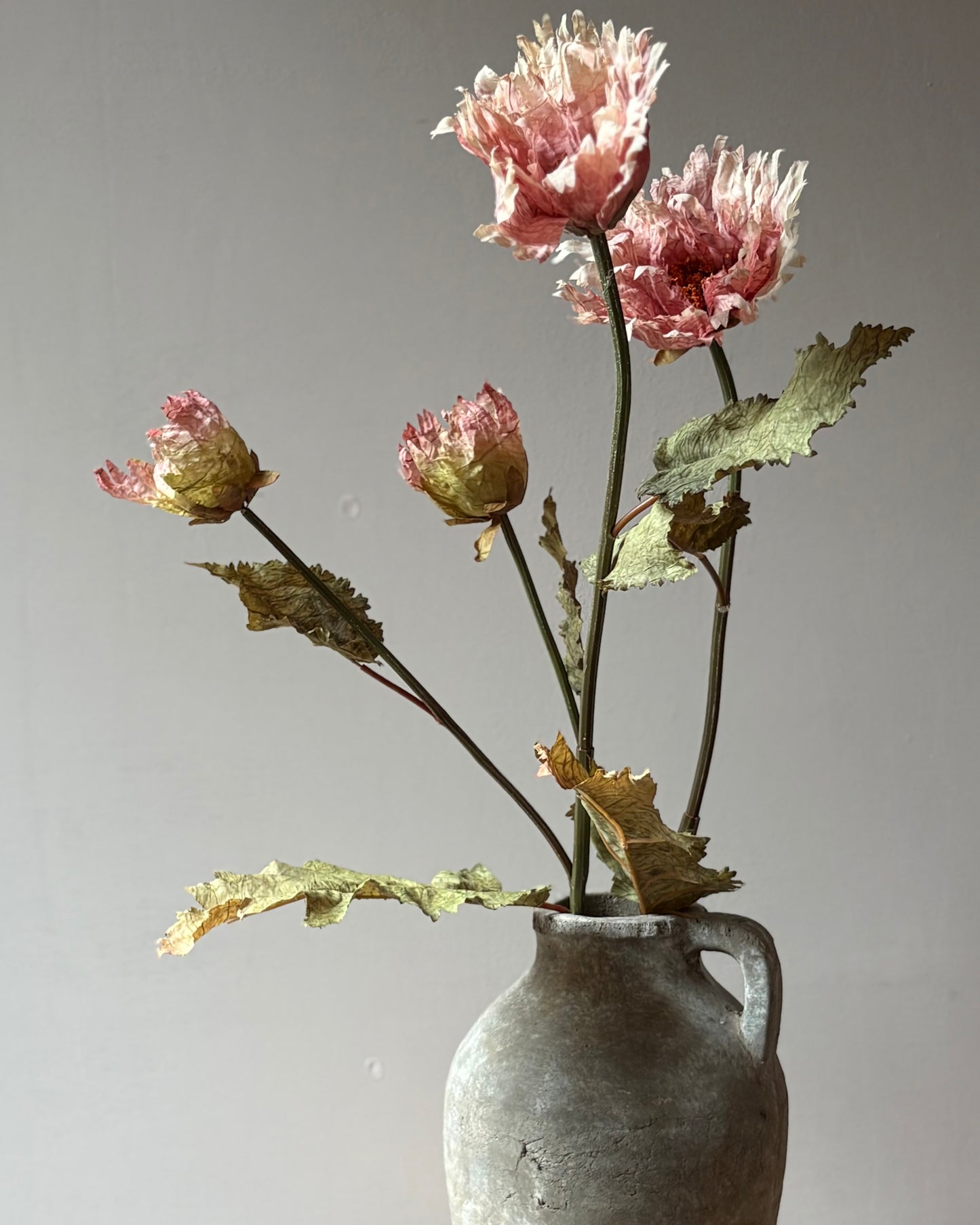 Vintage Poppy in Dusky Pink