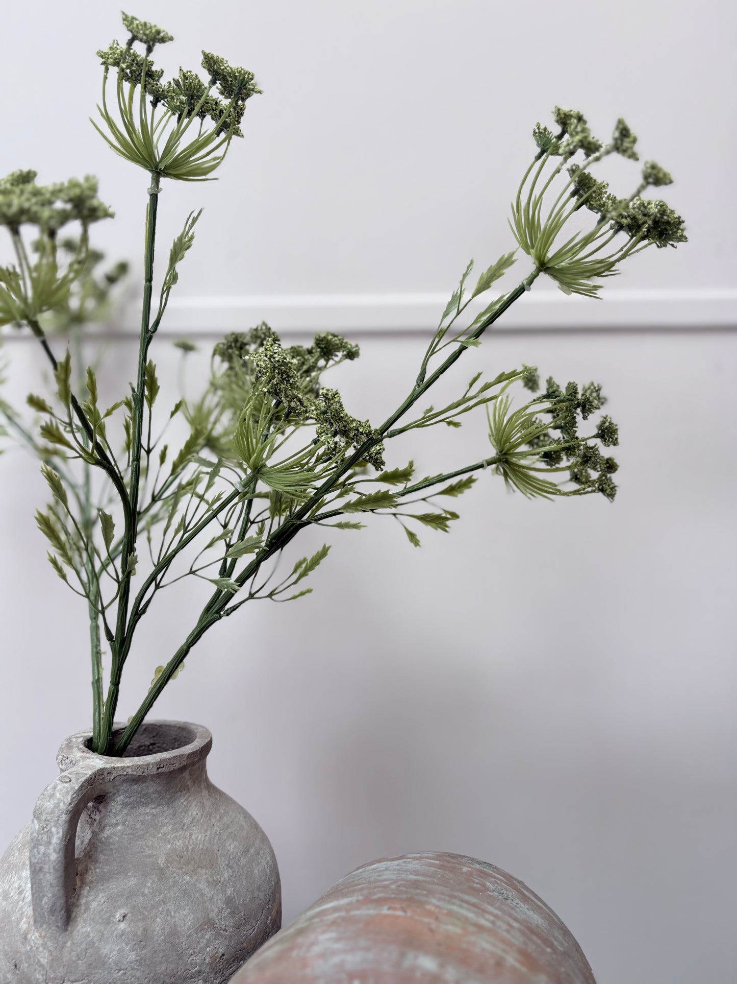 Cow Parsley - Green