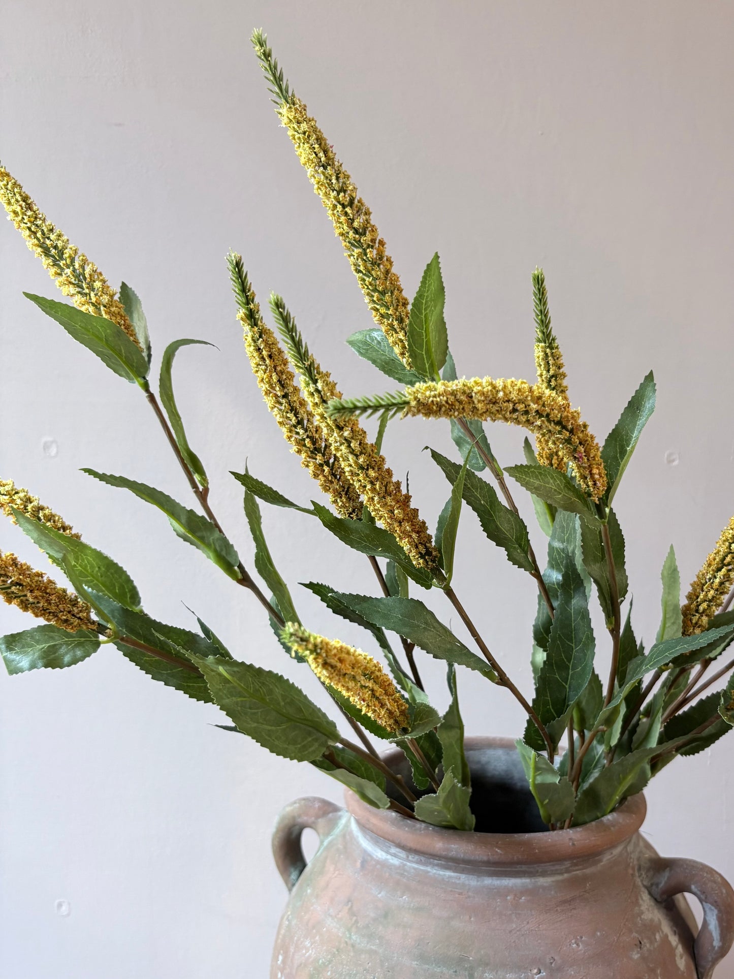 Veronica Stem- Yellow