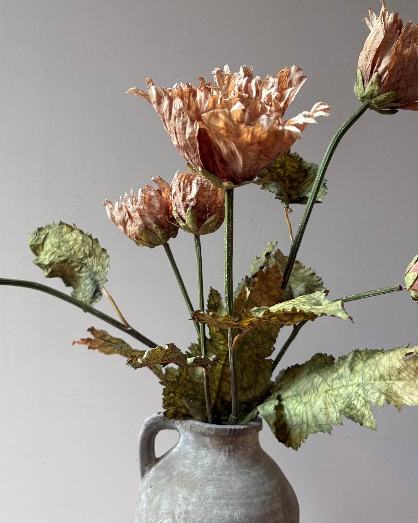 Vintage Poppy in Latte
