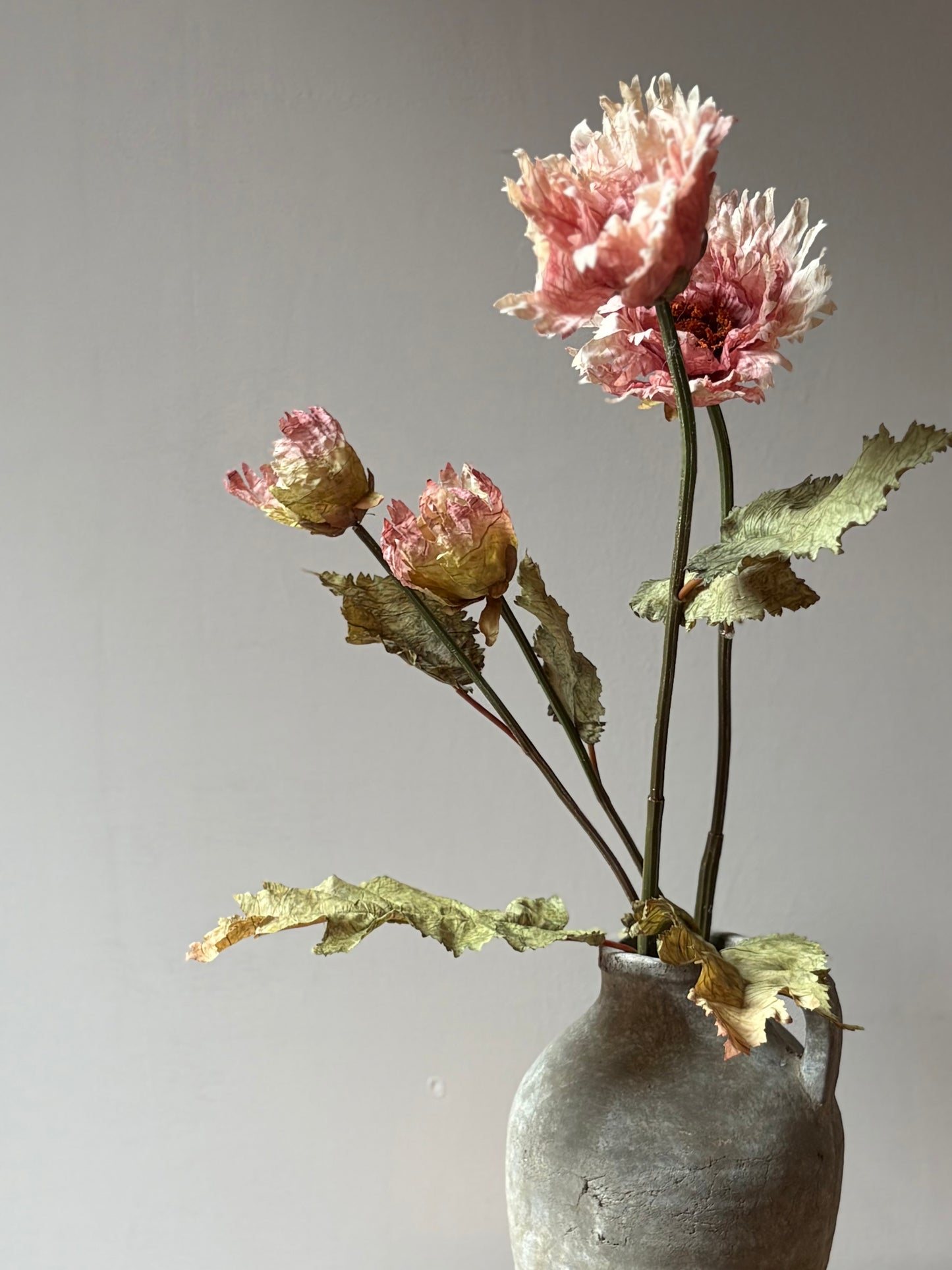 Vintage Poppy in Dusky Pink