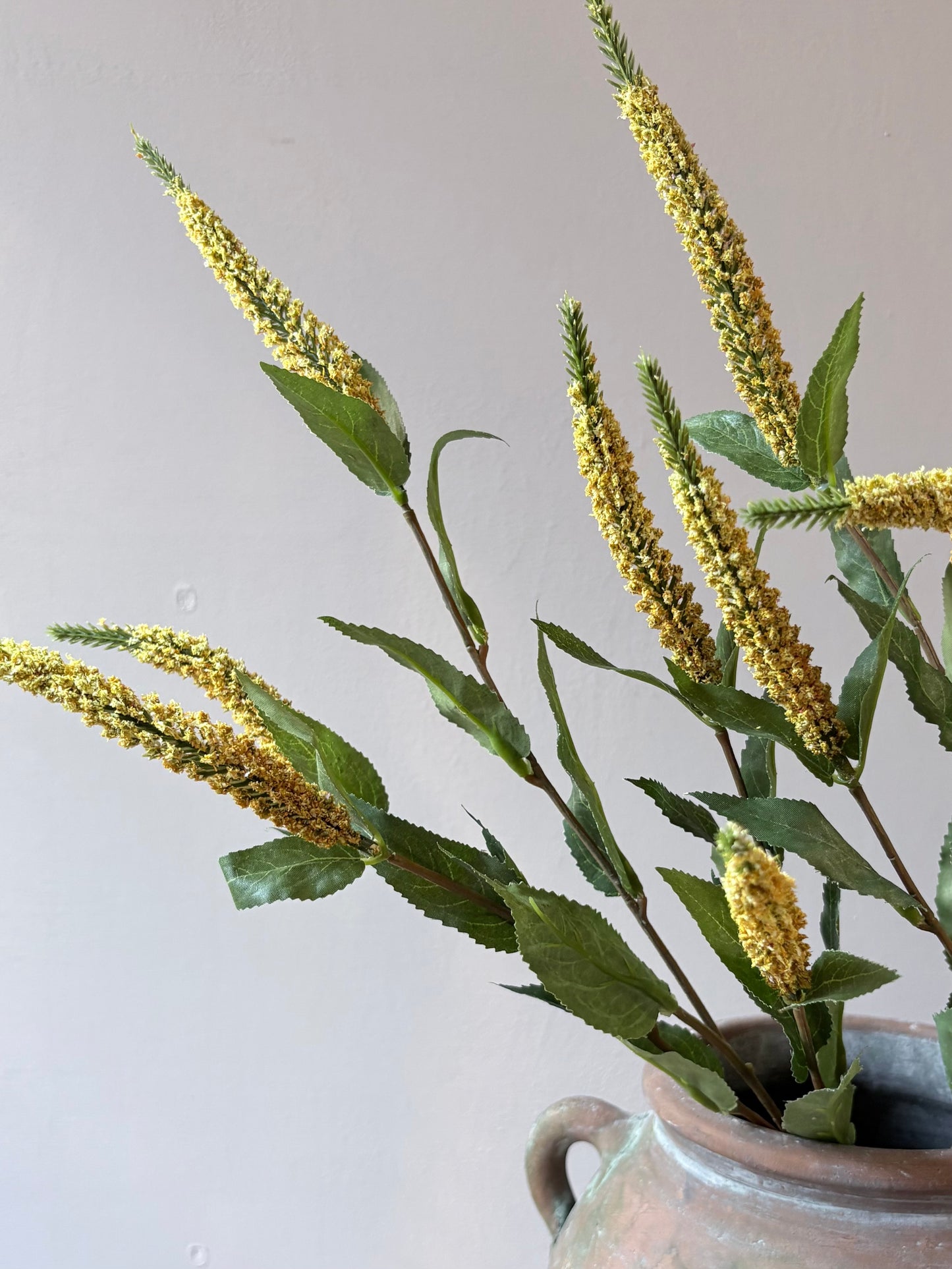 Veronica Stem- Yellow