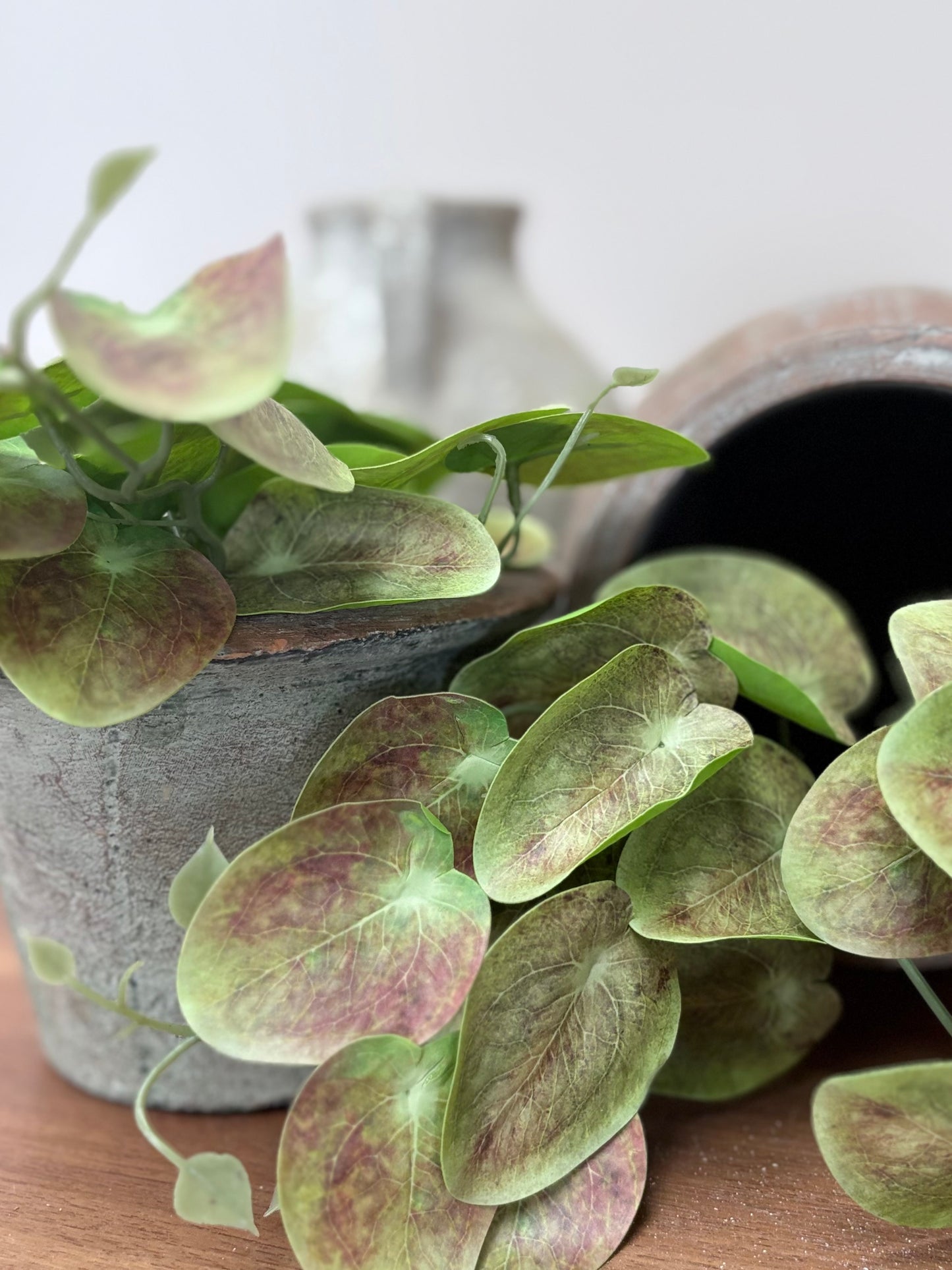 Mini Trailing Lily Pad Leaf Green- Brown