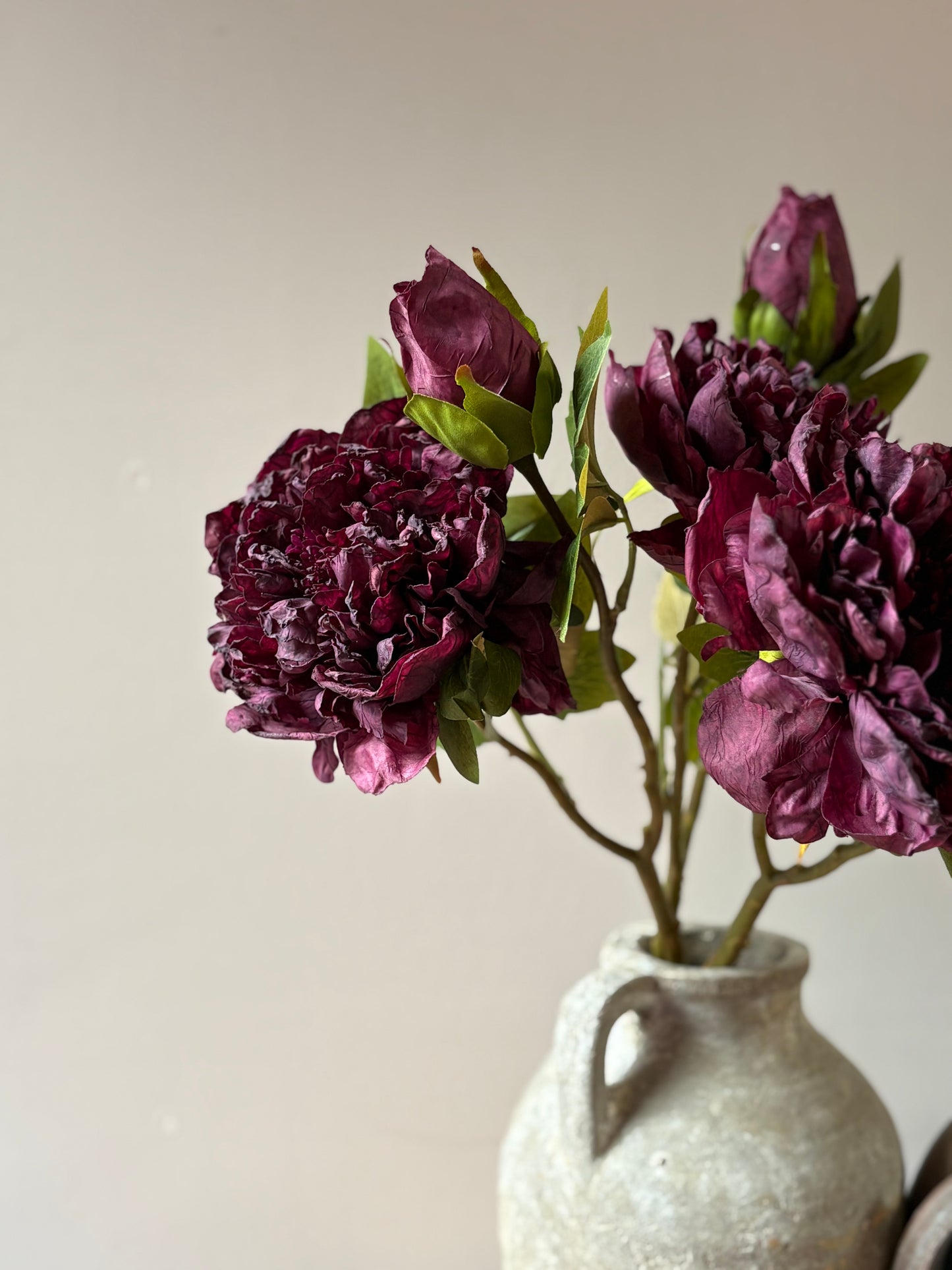 Full Bloom Double Peony in Mulberry