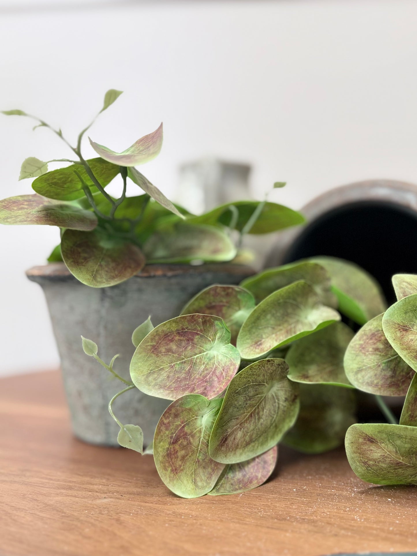 Mini Trailing Lily Pad Leaf Green- Brown