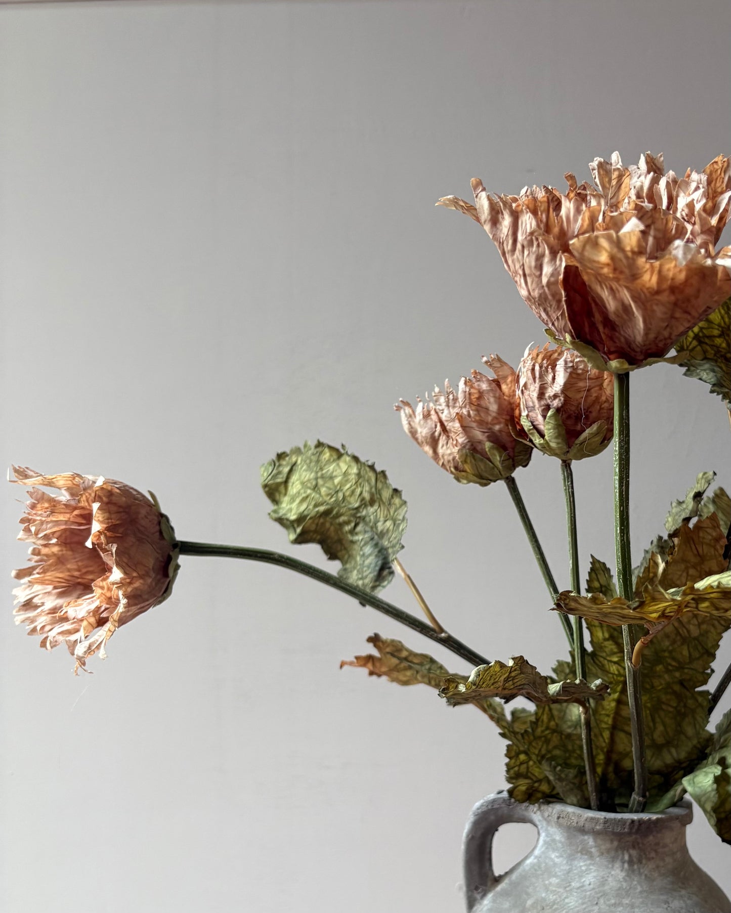 Vintage Poppy in Latte