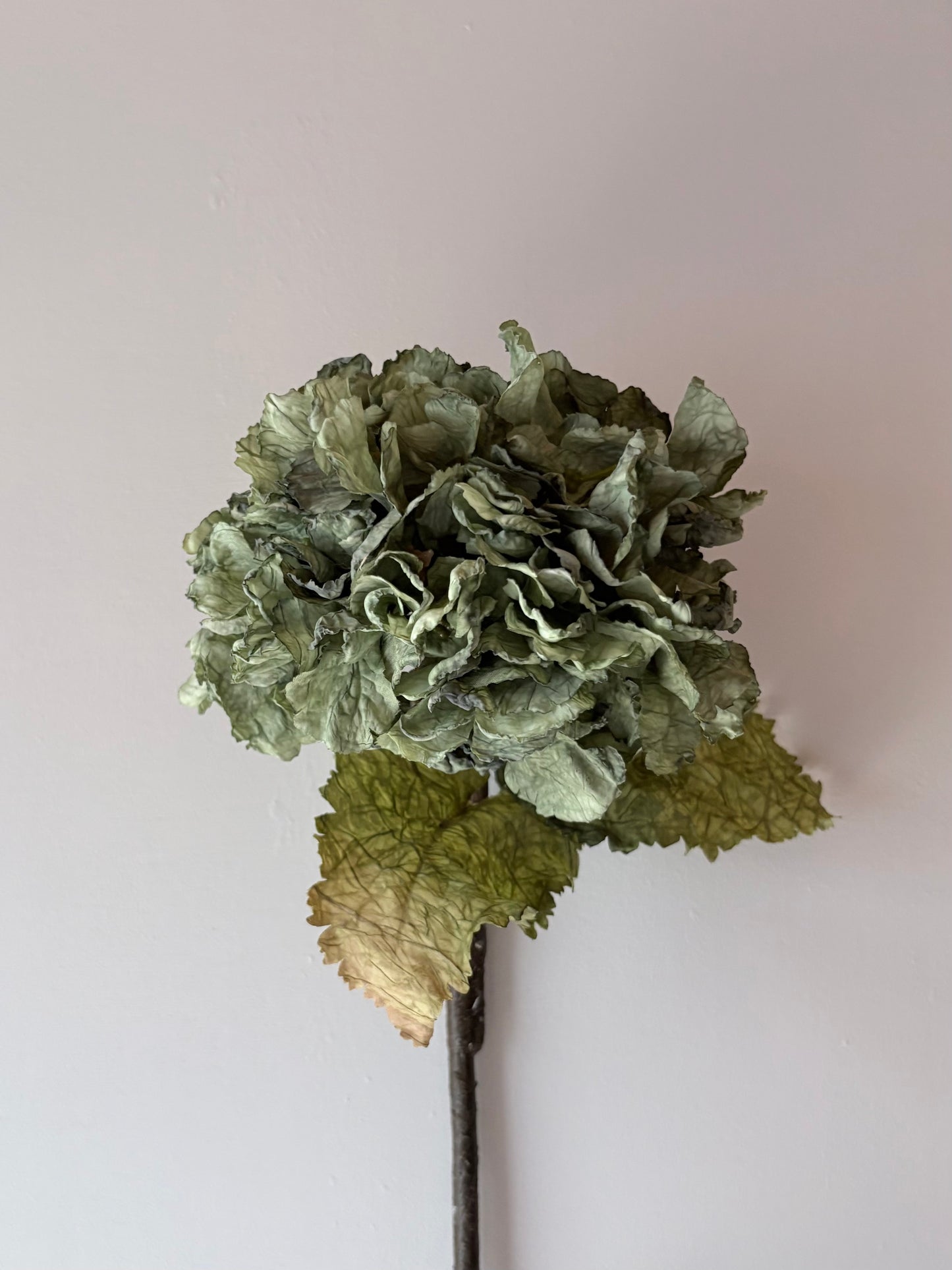 Vintage Hydrangea in Sage Green