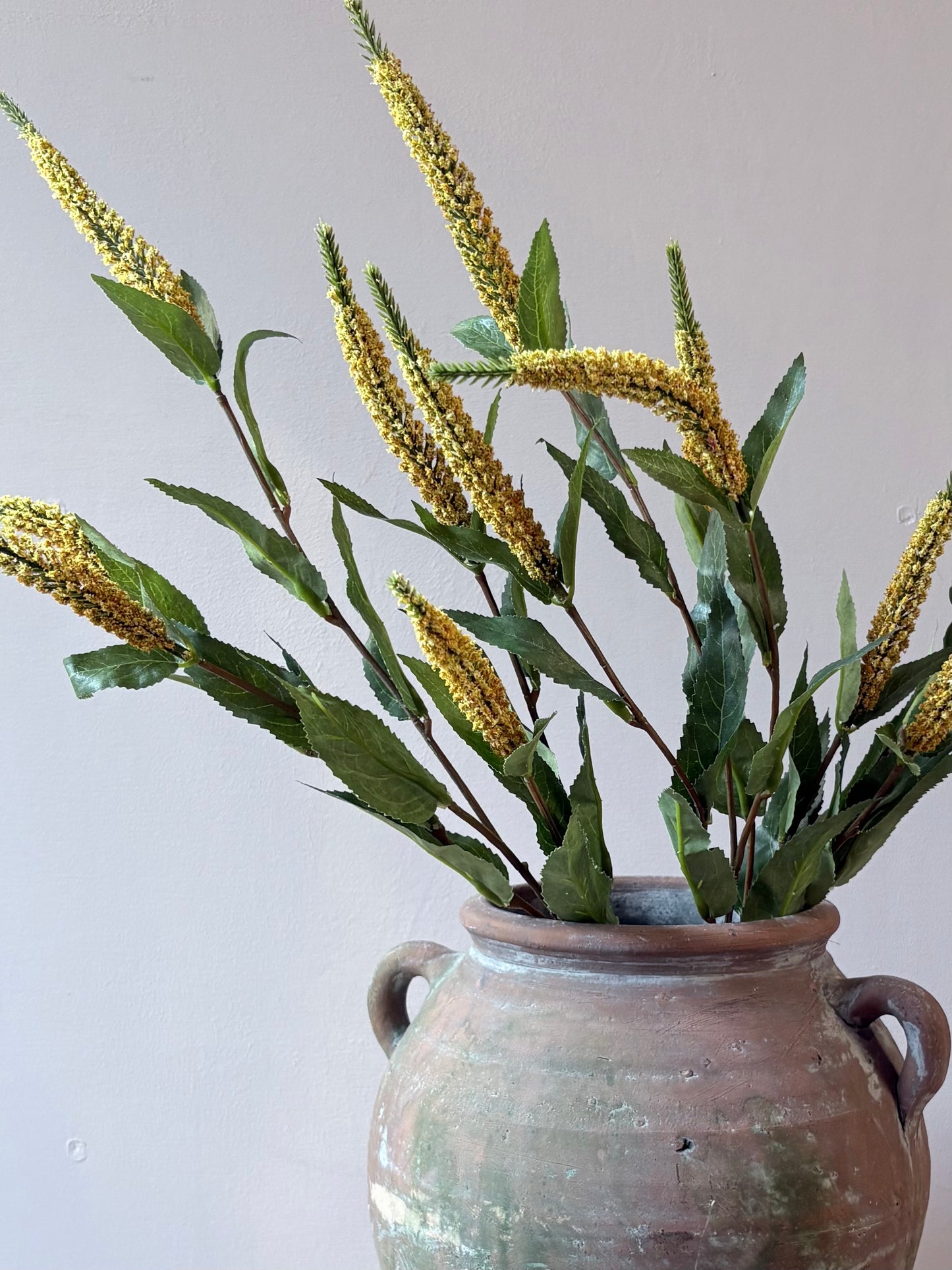 Veronica Stem- Yellow