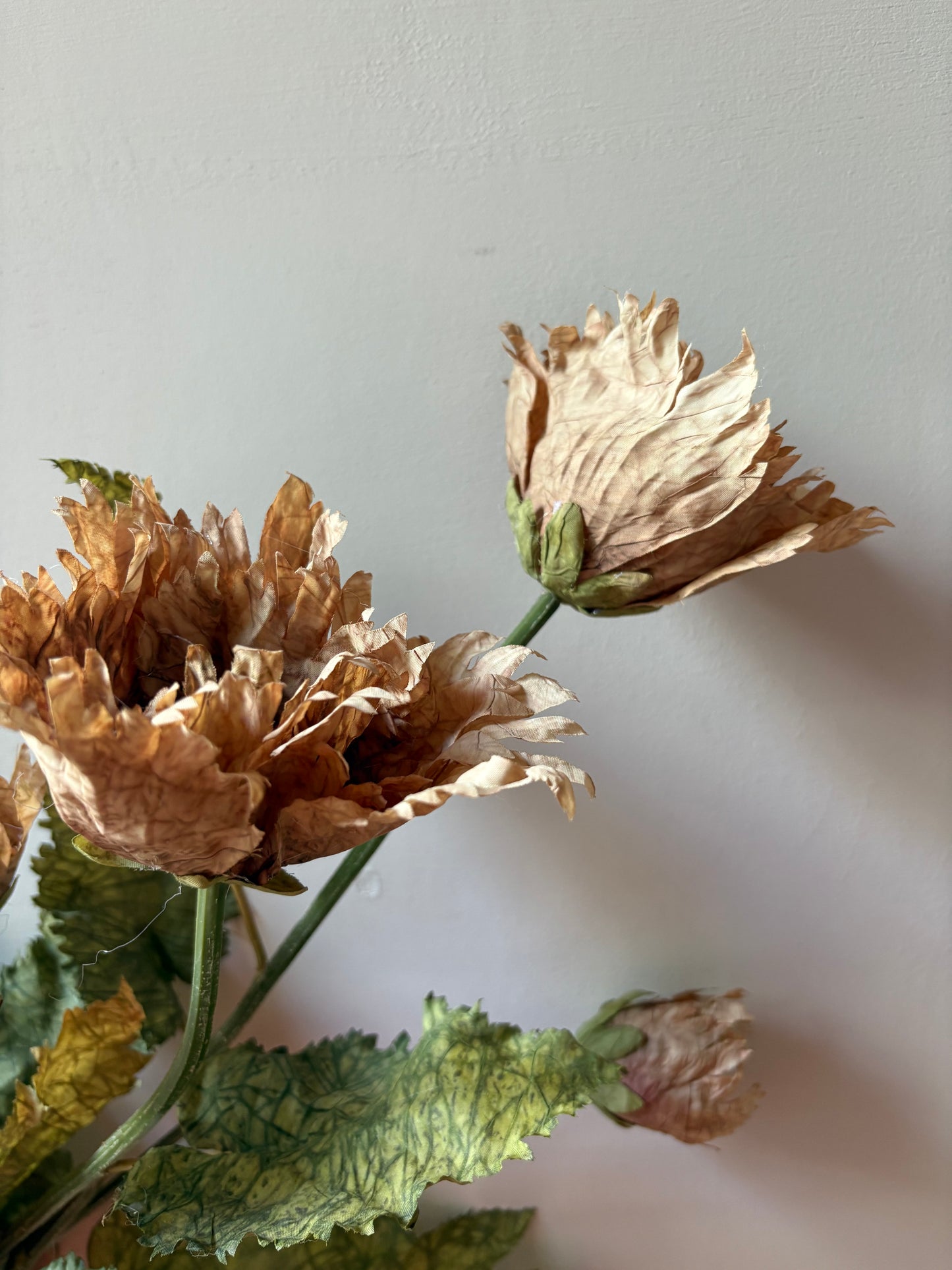 Vintage Poppy in Latte